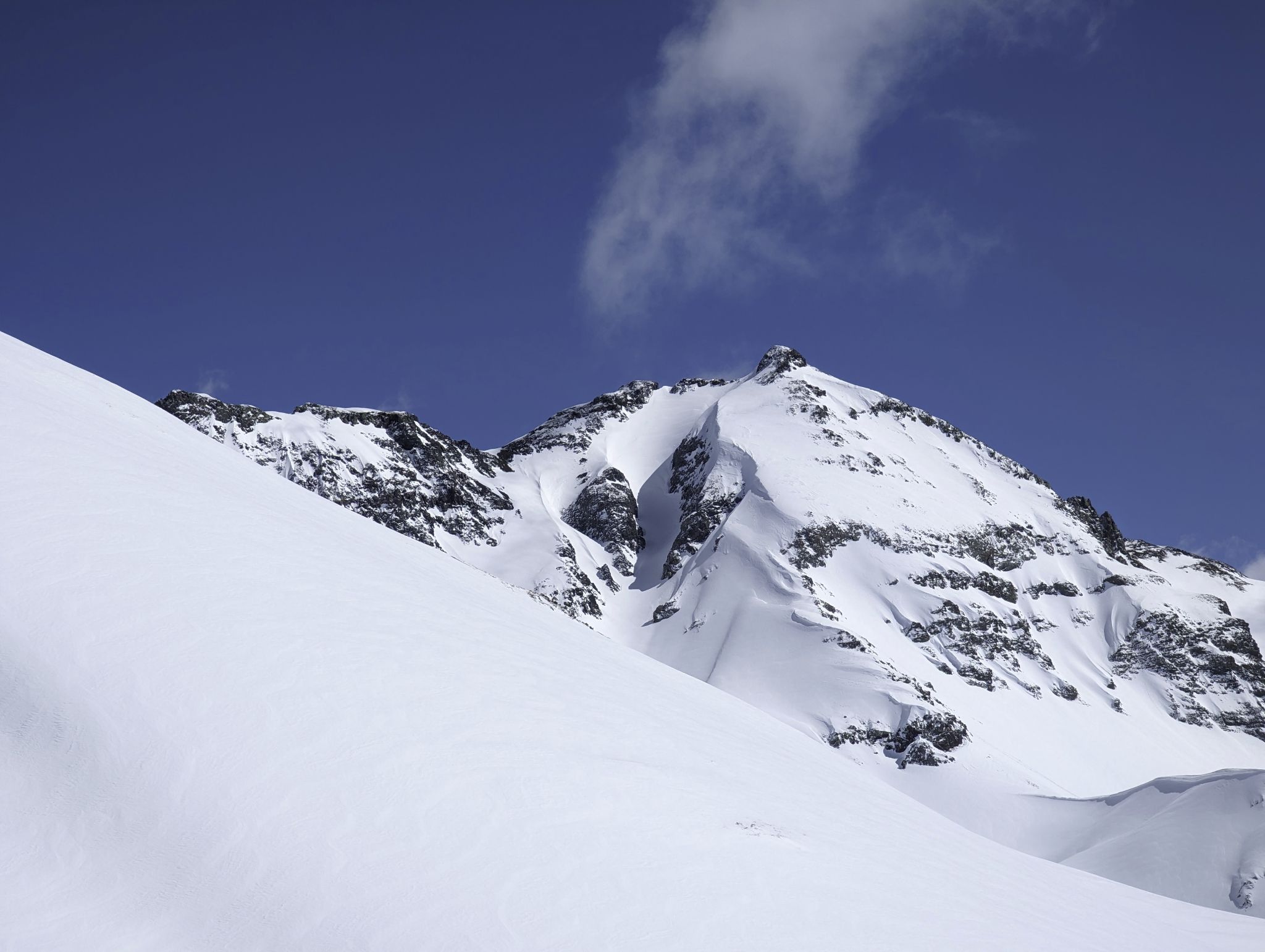 Bonita peak 19