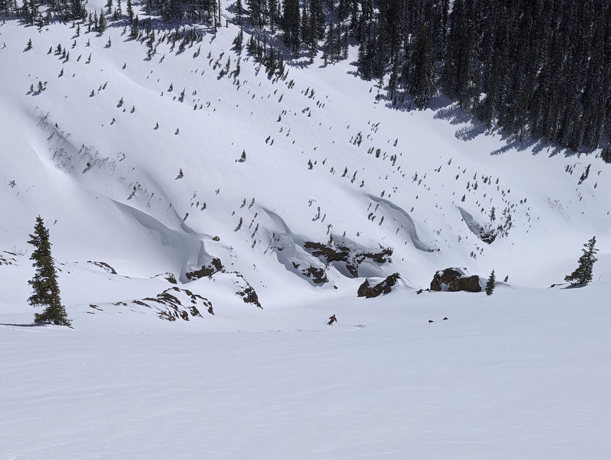 Bonita peak 20