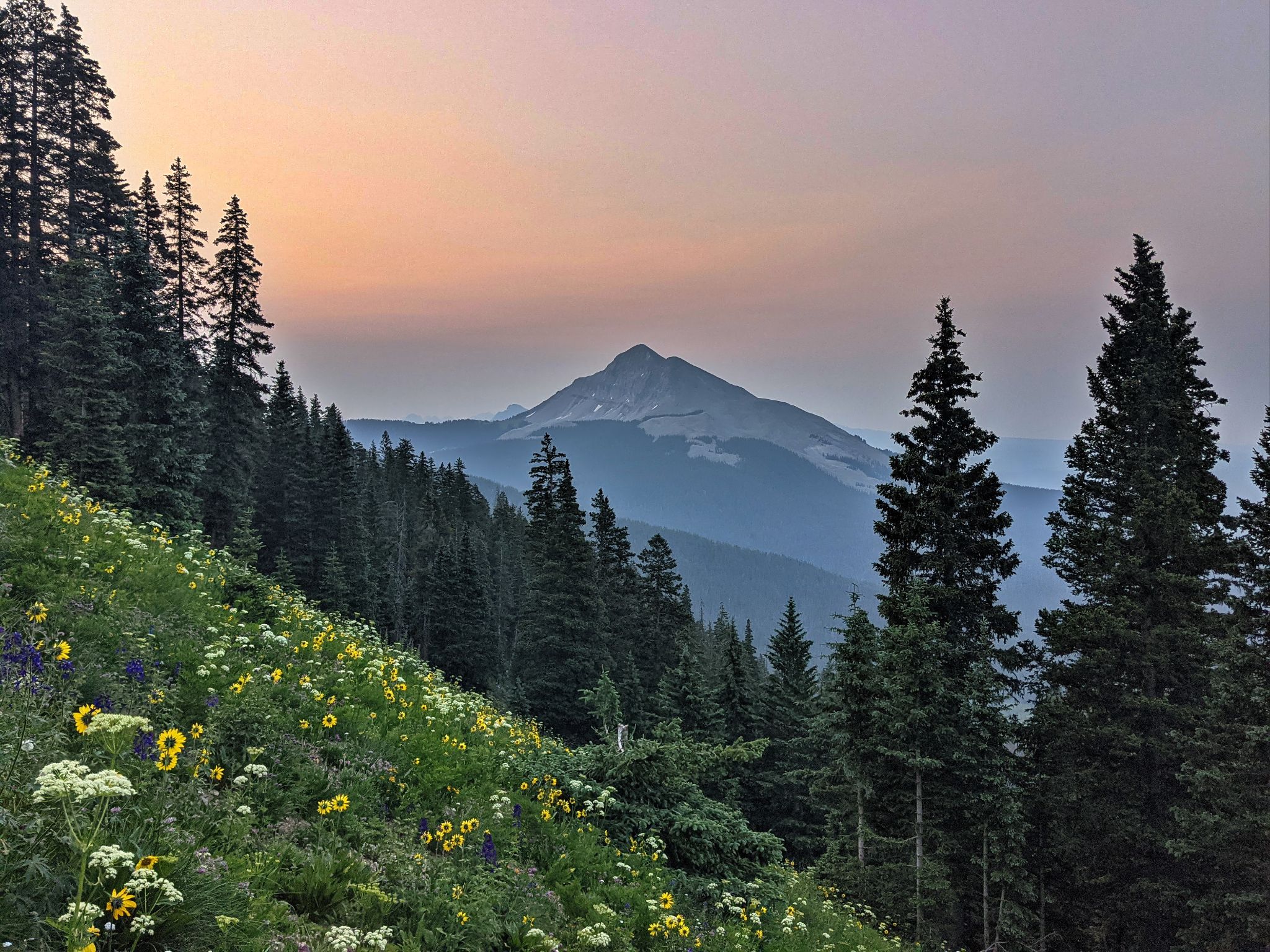 Grizzly peak b 04