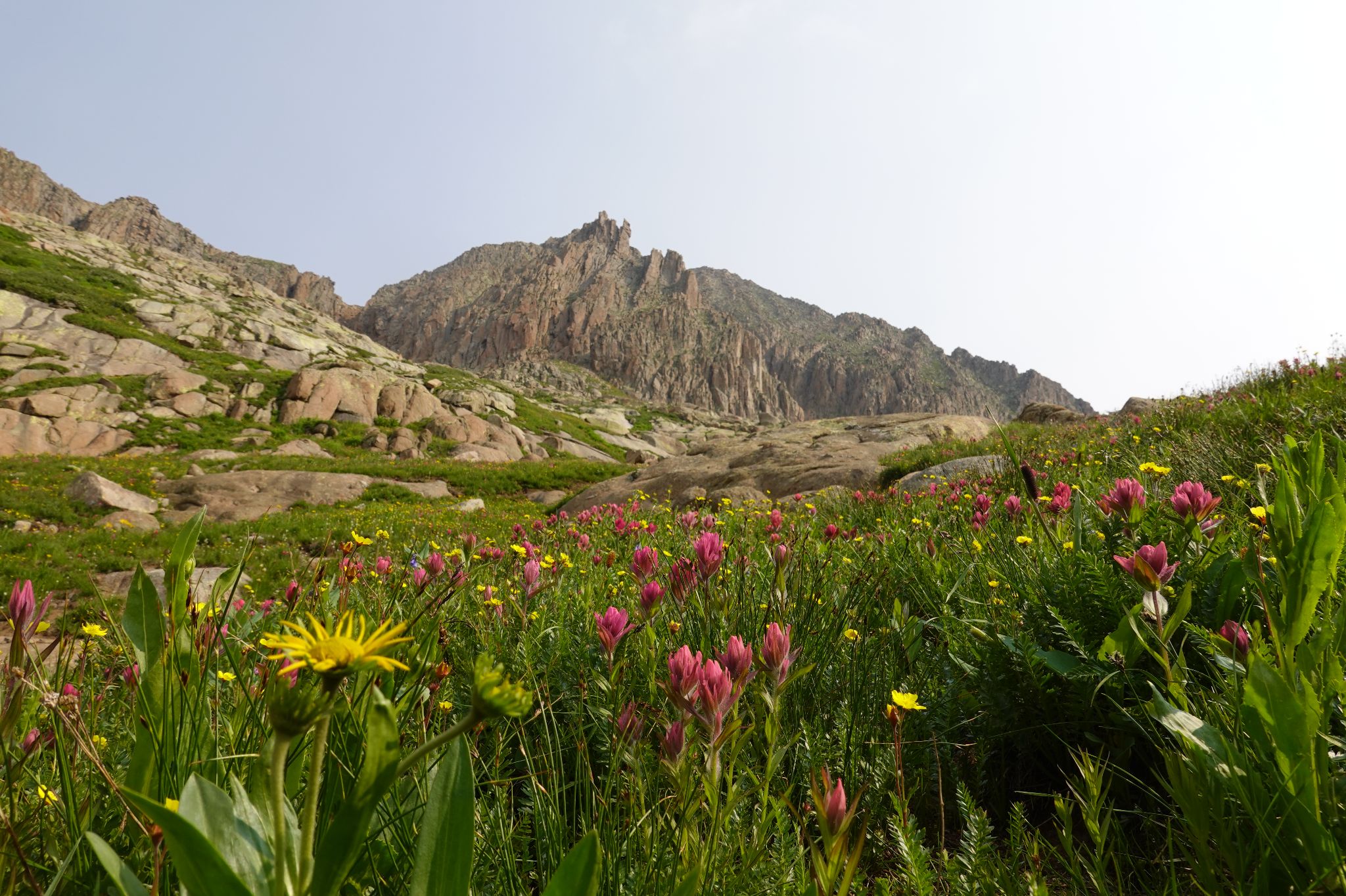 Grizzly peak b 08