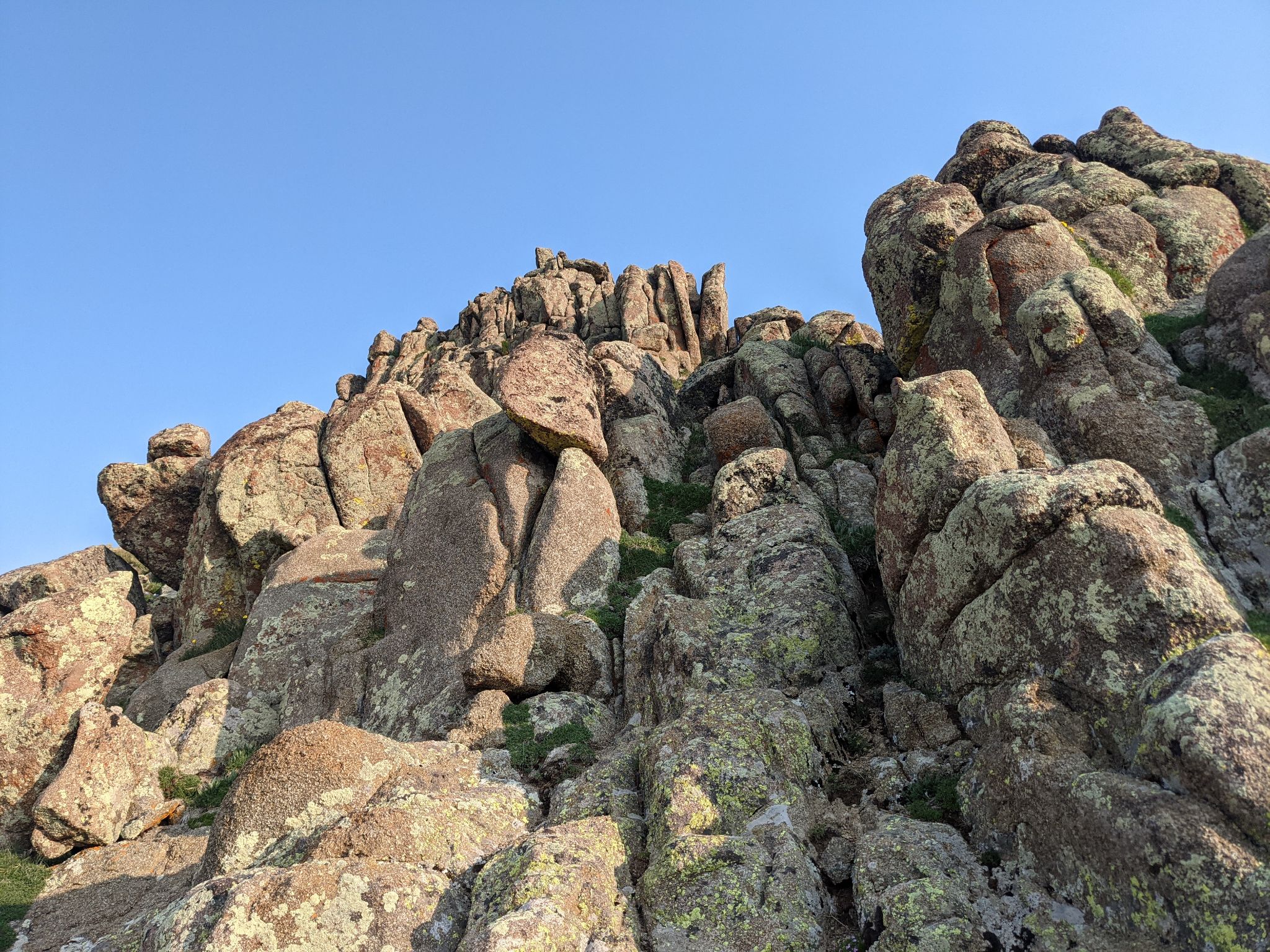 Grizzly peak b 13