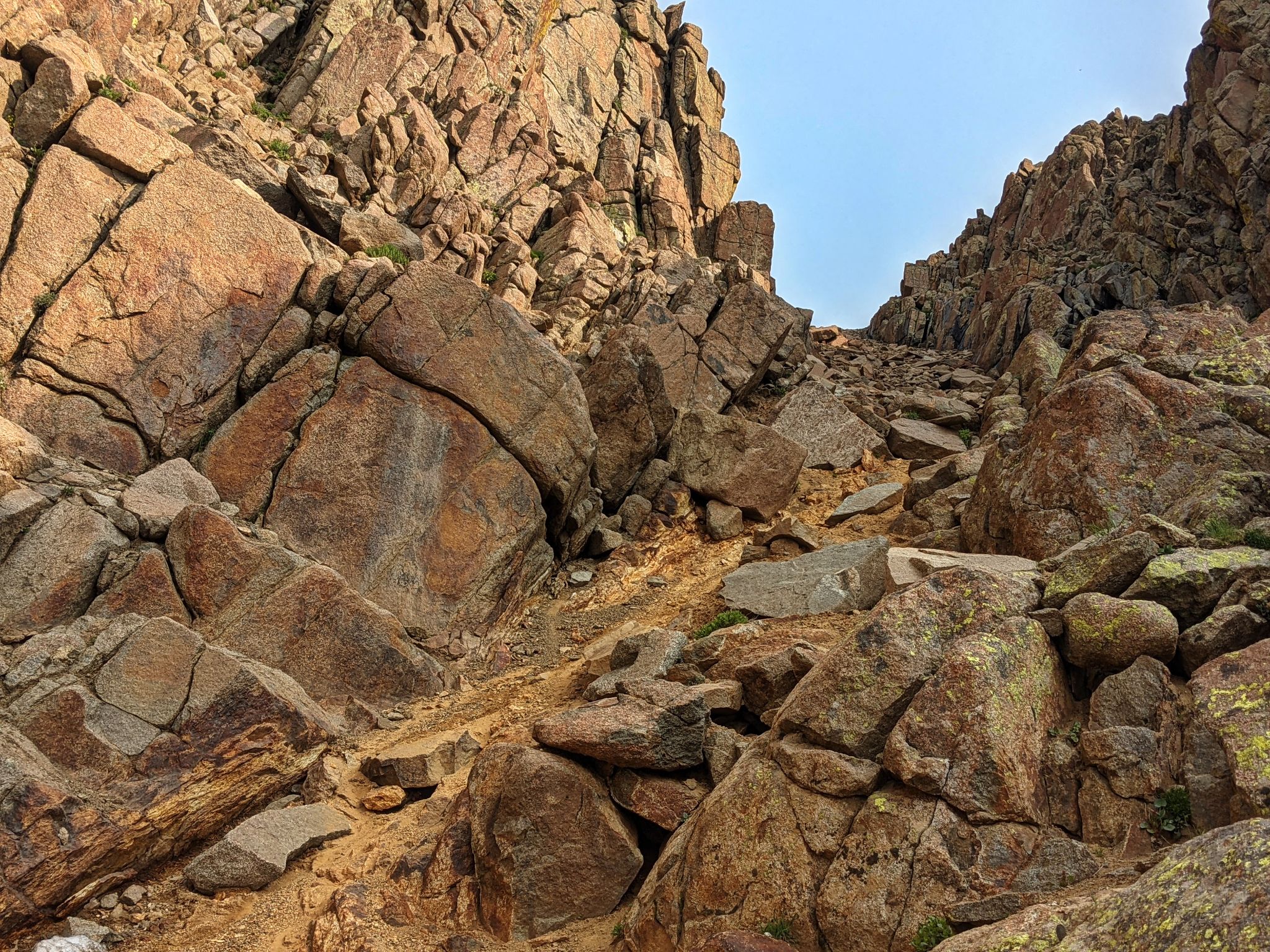 Grizzly peak b 26