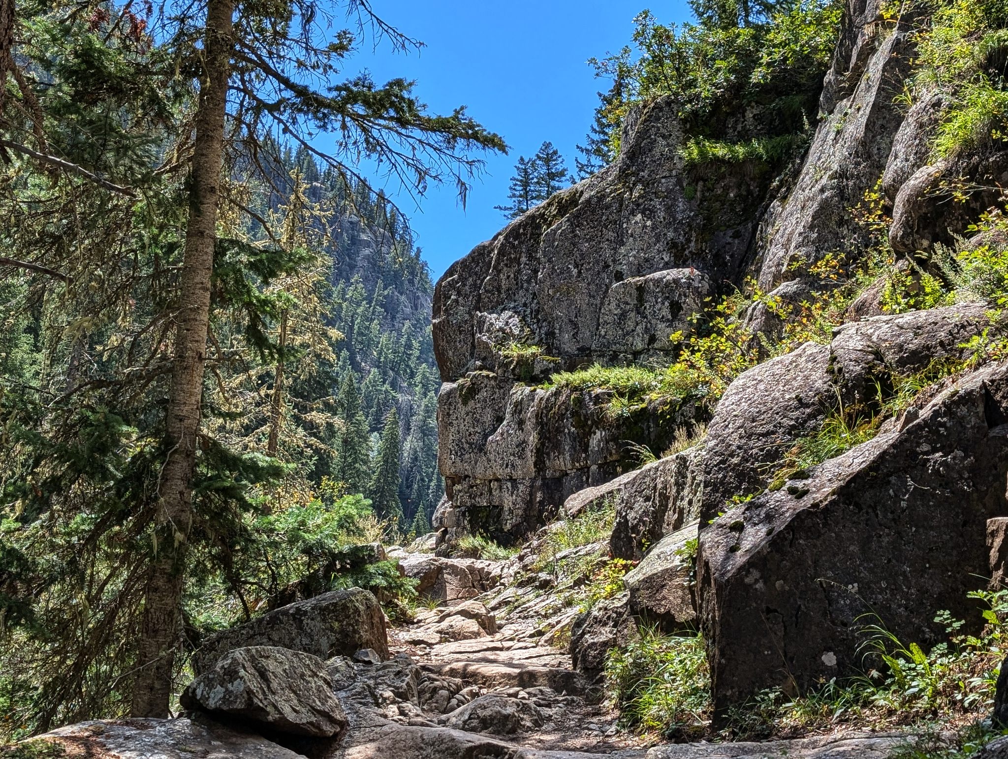 Johnson creek approach 02