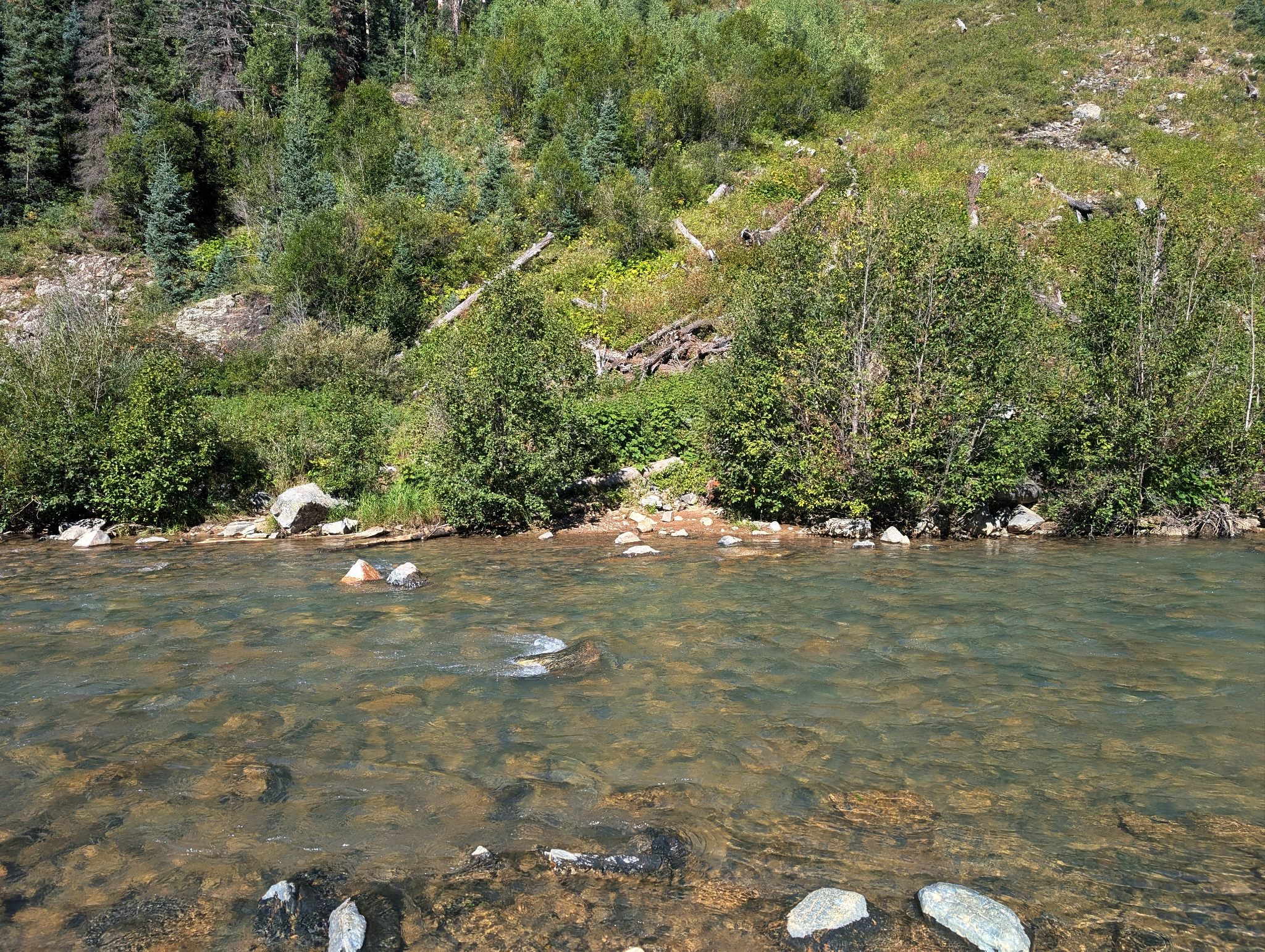Johnson creek approach 09