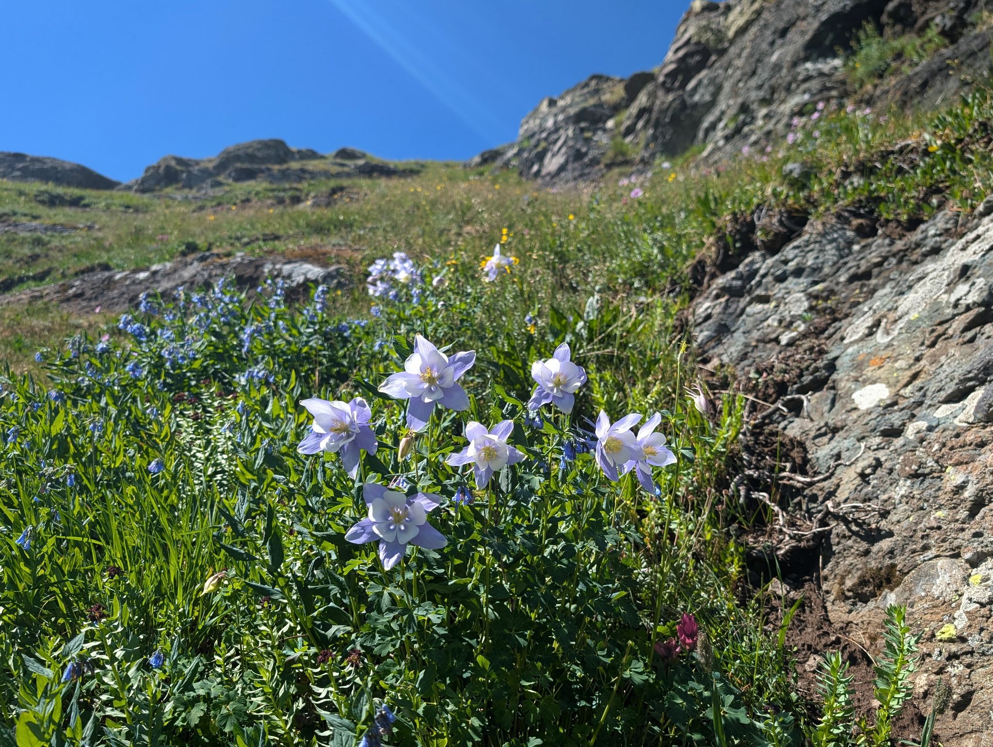 Little wasatch 10