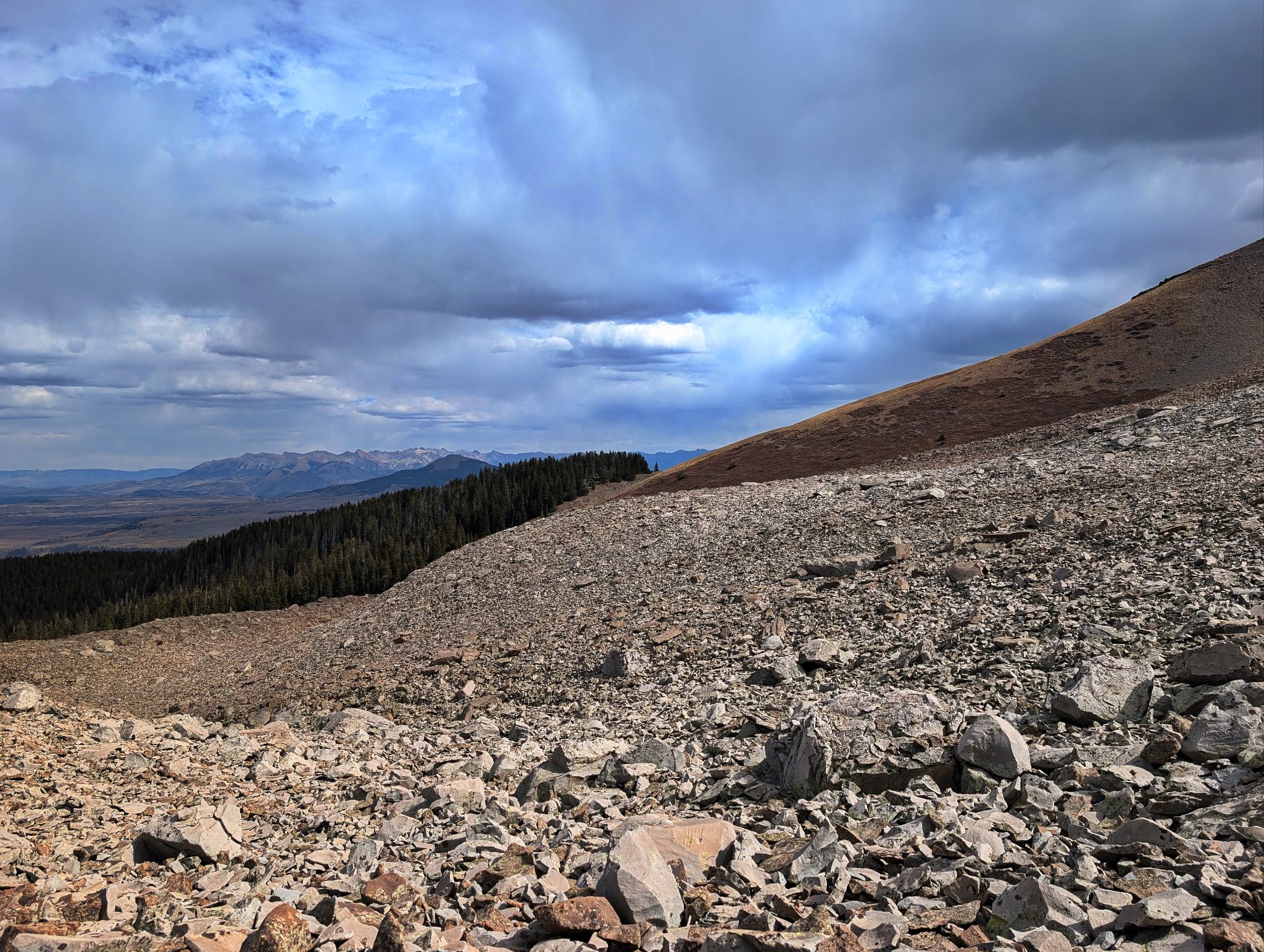 Lone cone 16