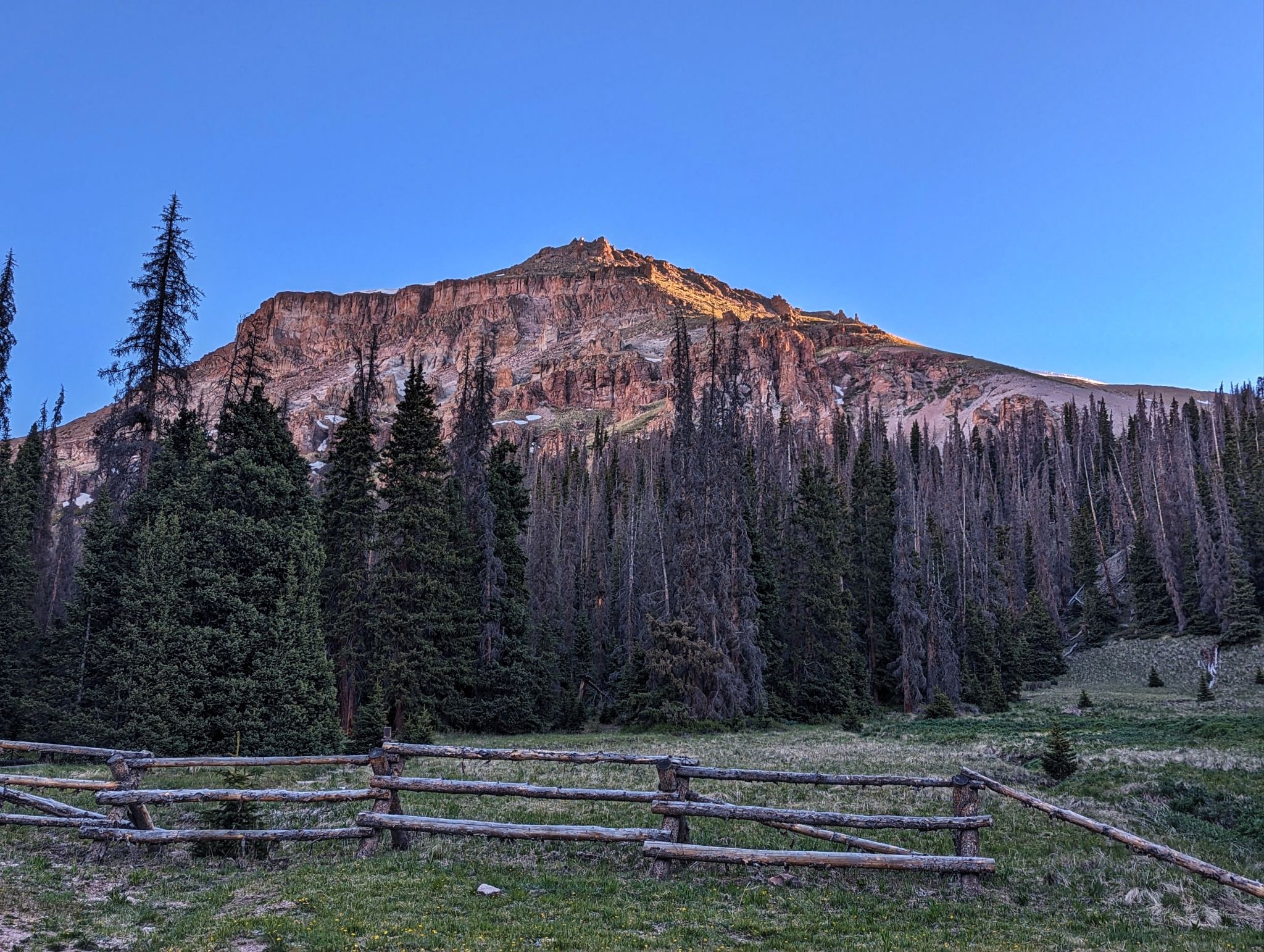 Non compahgre 02