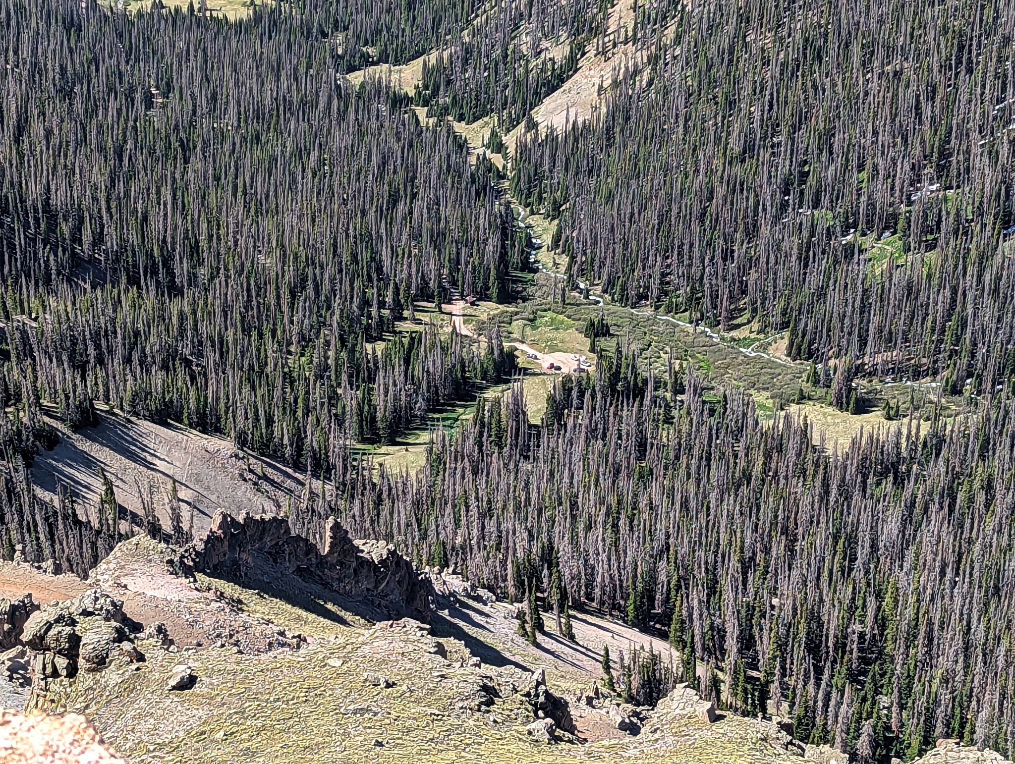Non compahgre 13