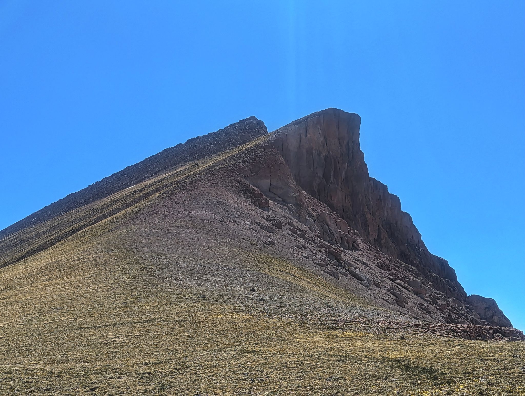 Non compahgre 16