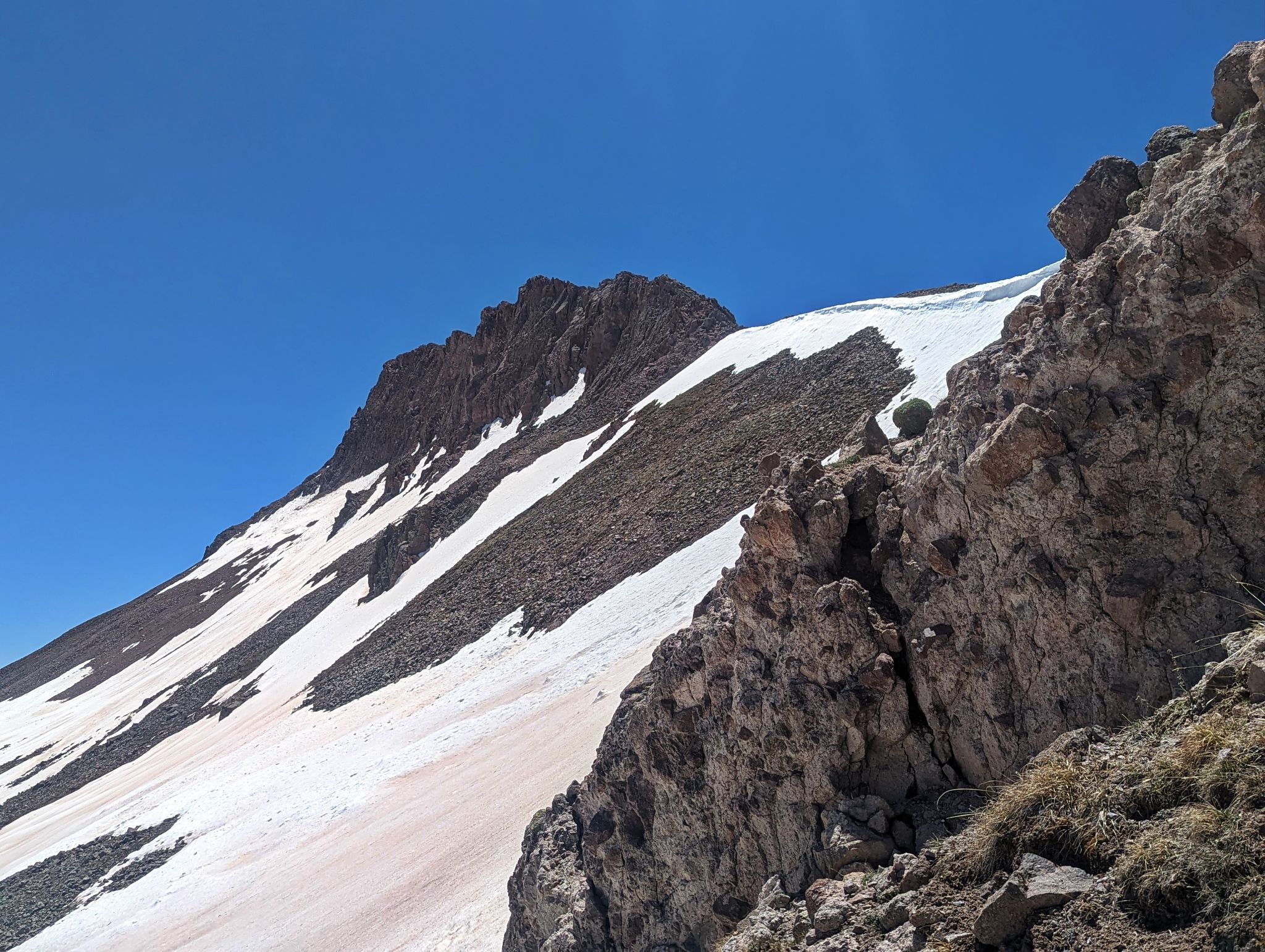 Non compahgre 19