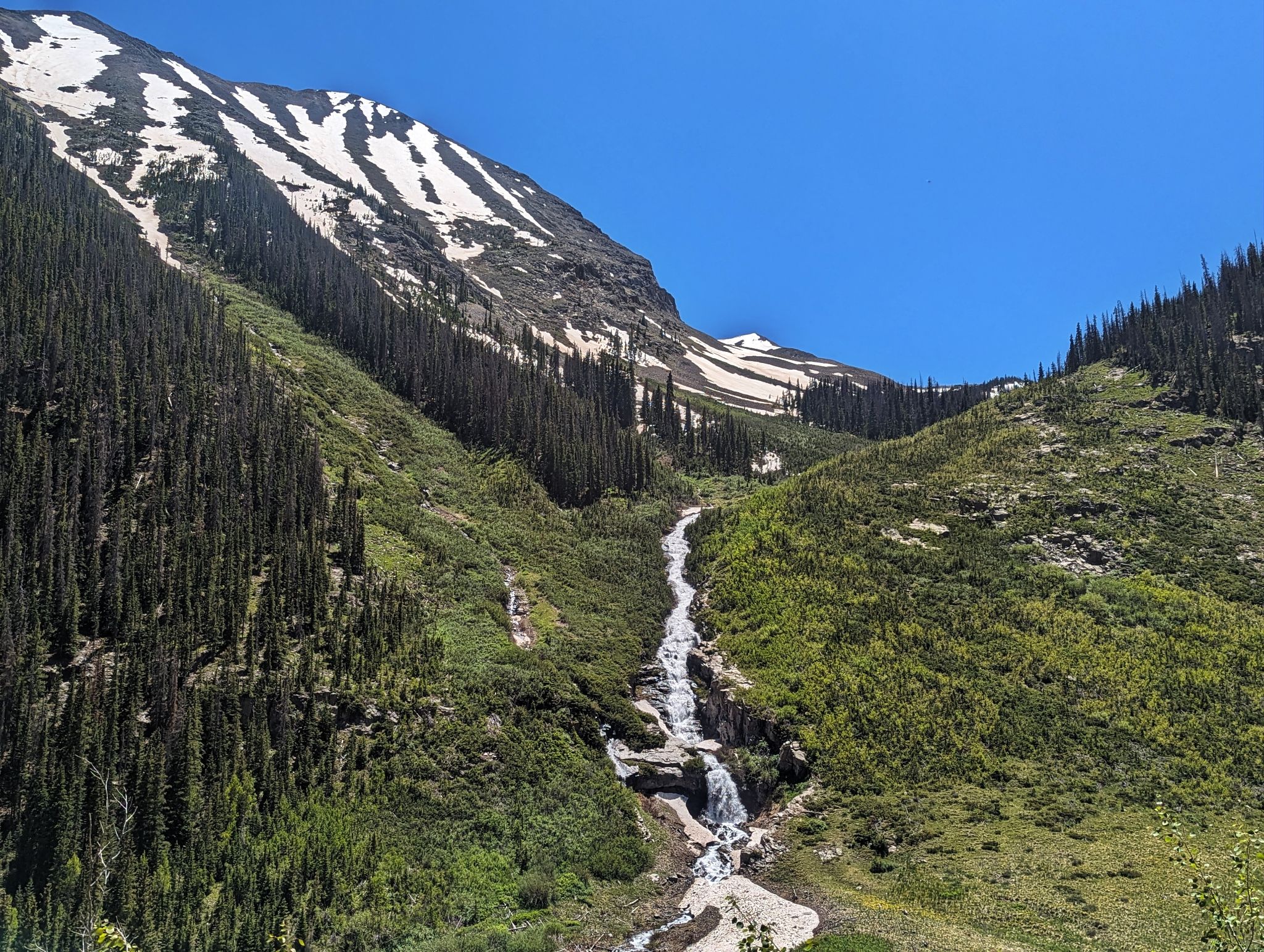 Non compahgre 24