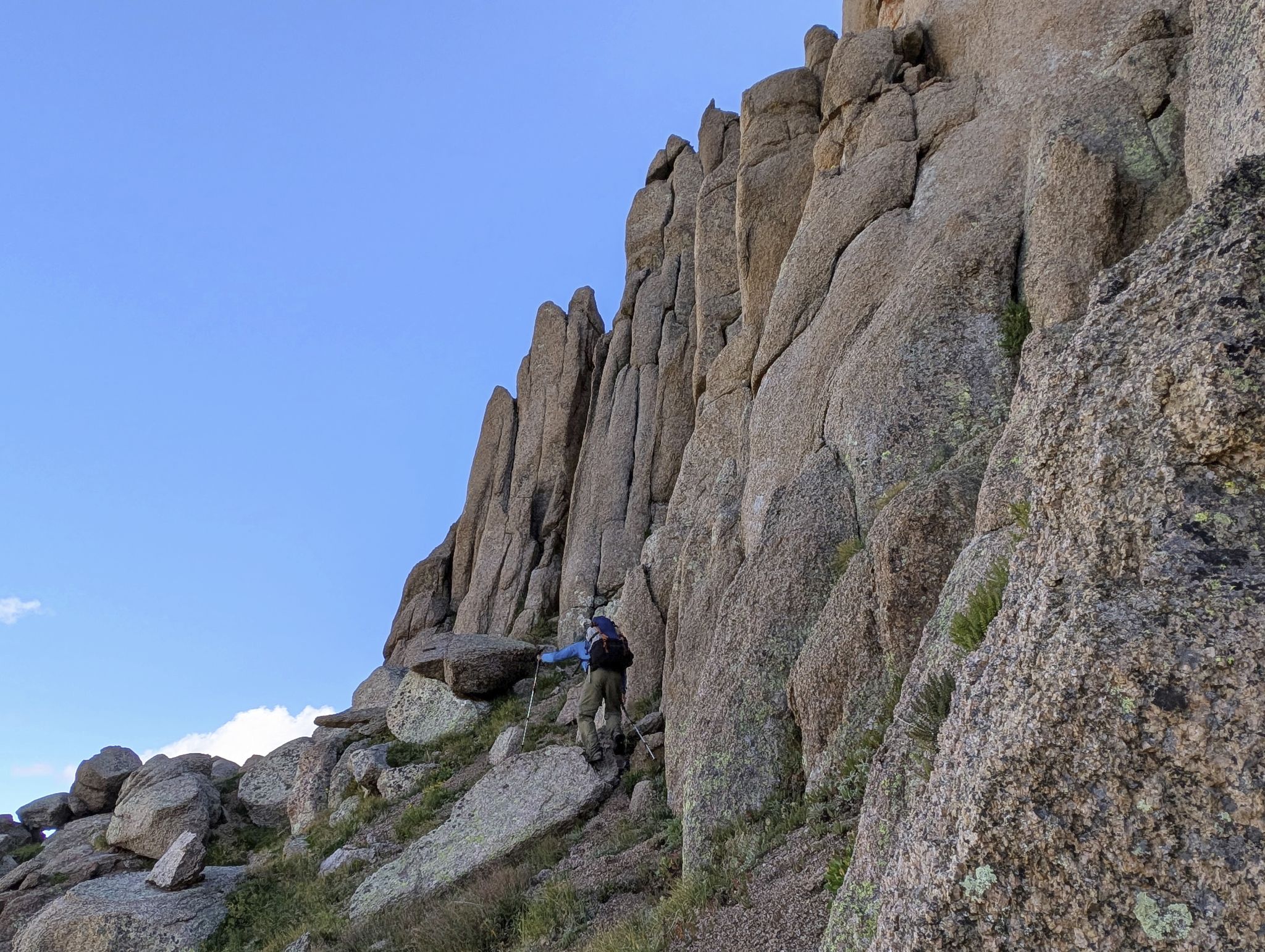 Gray needle noname needle 11