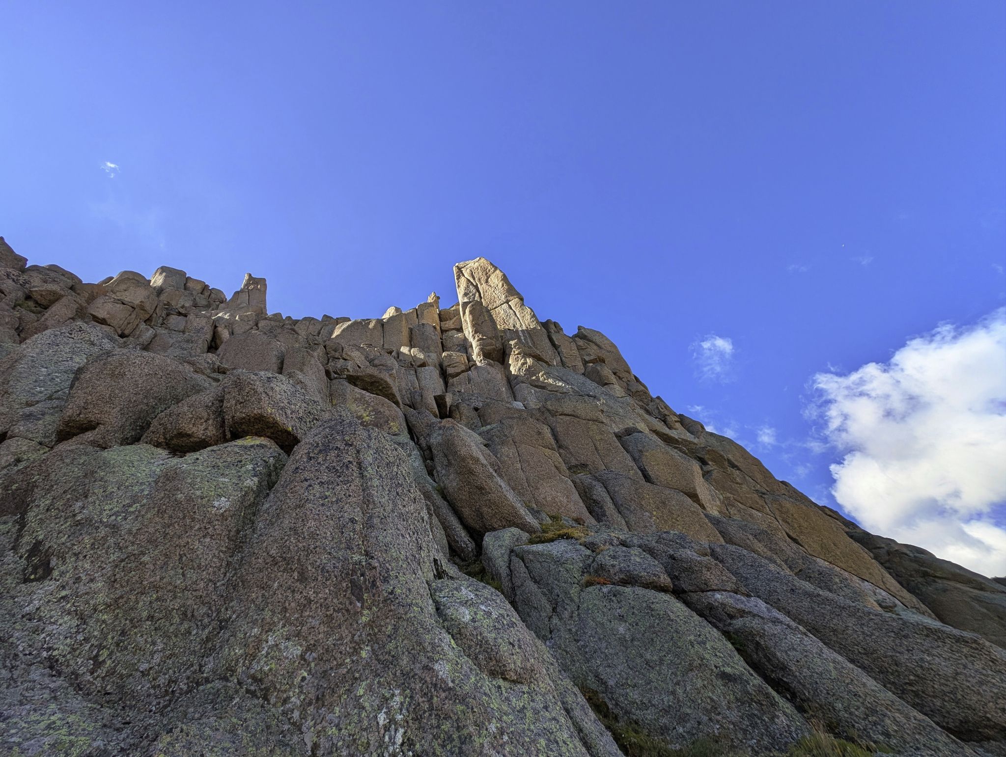 Gray needle noname needle 13