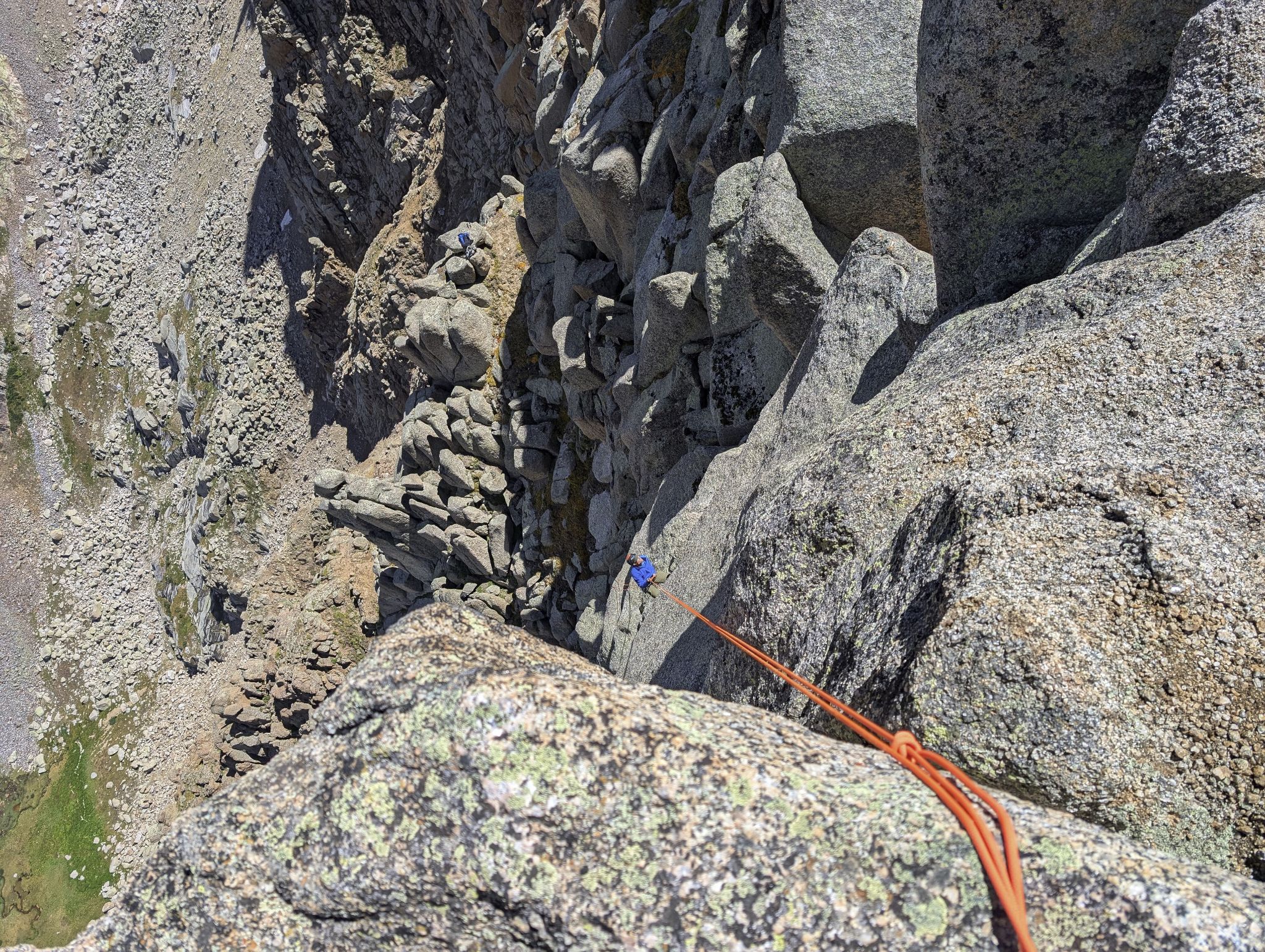 Gray needle noname needle 23