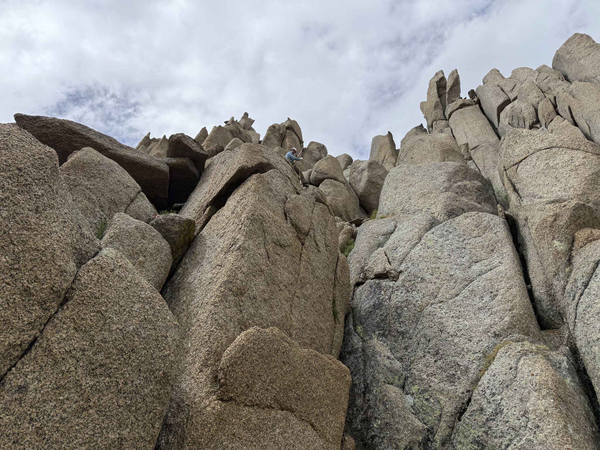 Gray needle noname needle 34