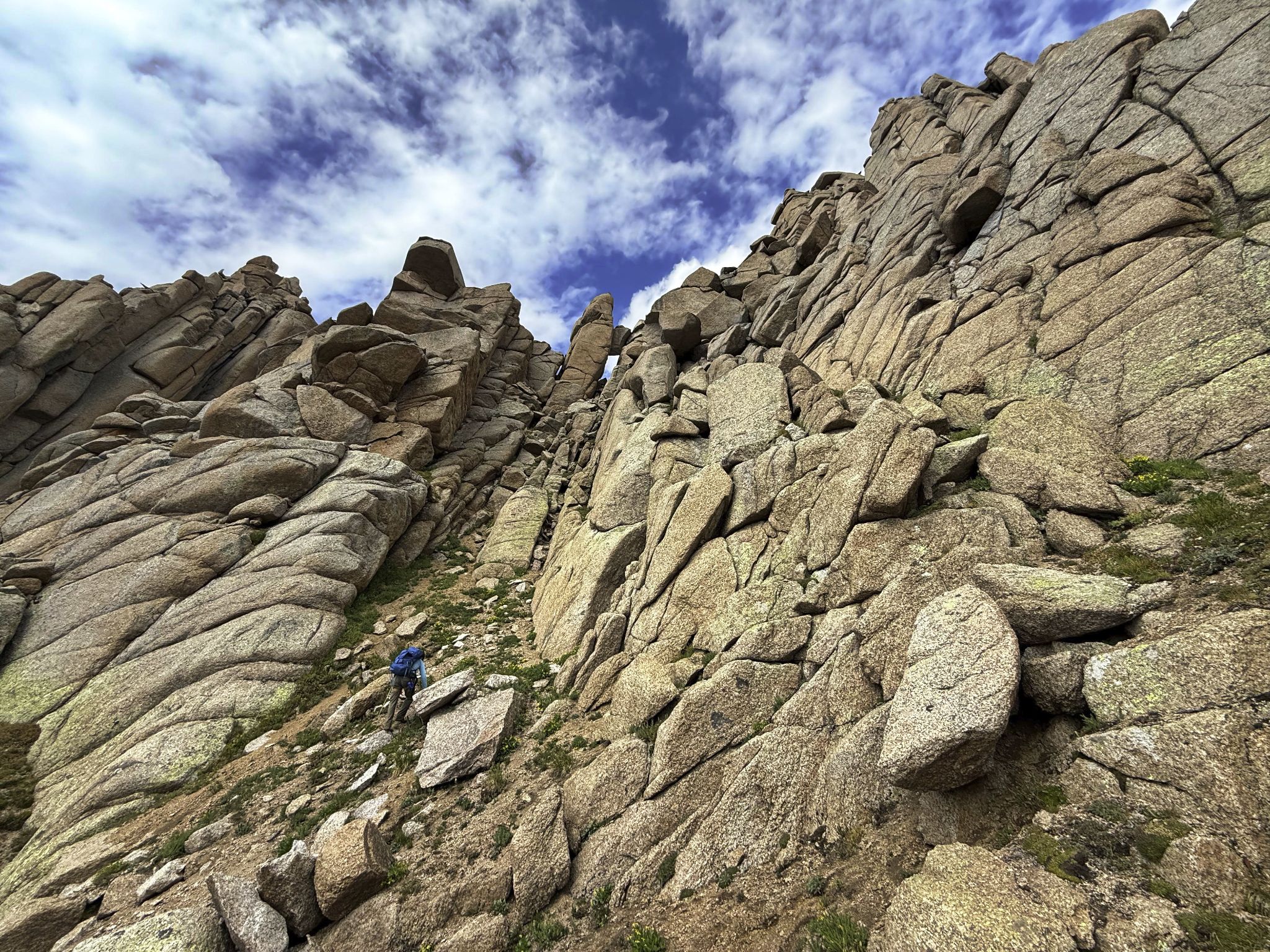 Gray needle noname needle 36