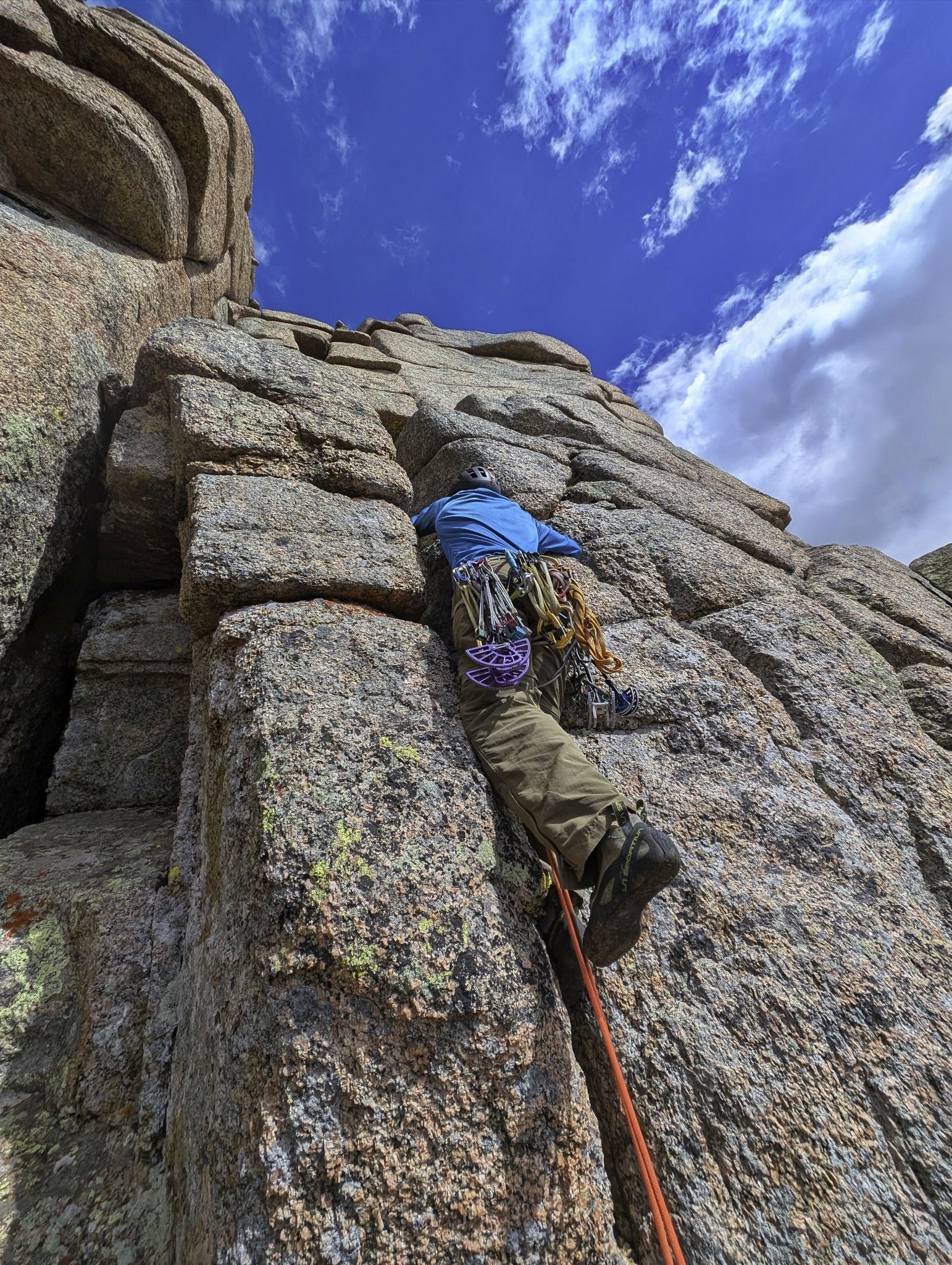 Gray needle noname needle 38