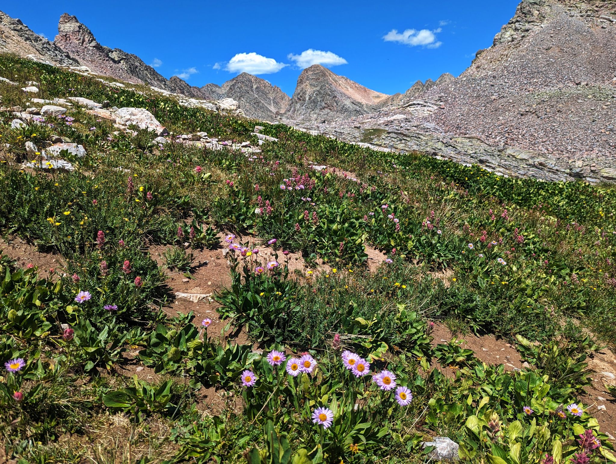 Peak eight 24