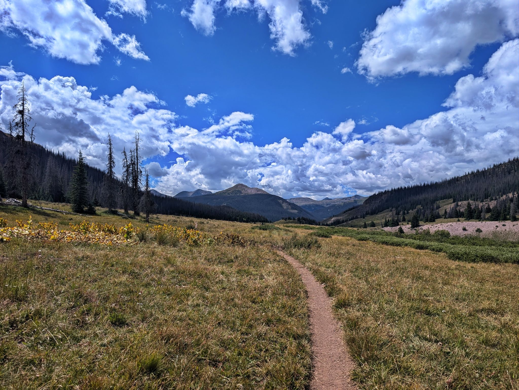 Pole creek v2 34