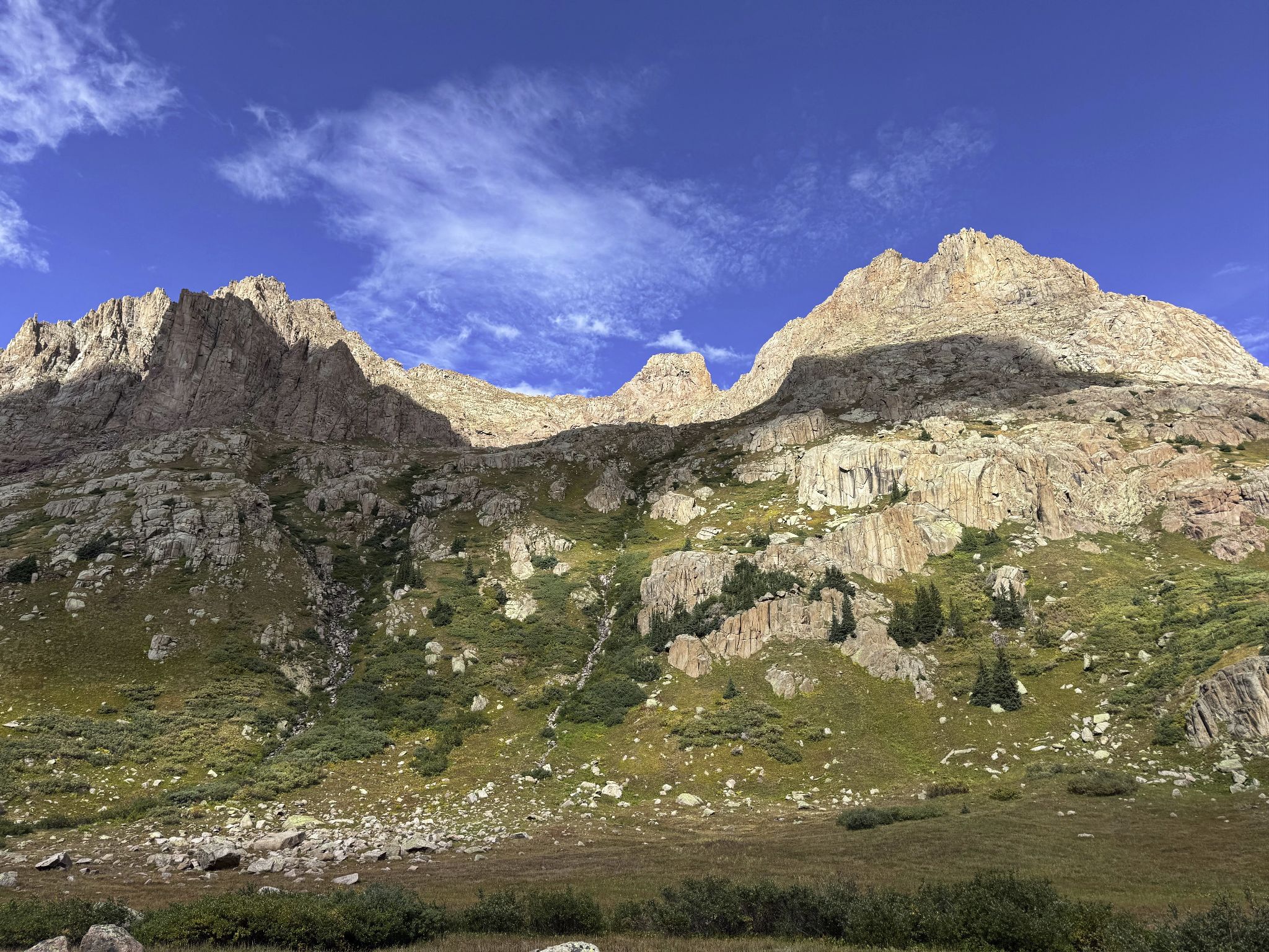 Monitor animas46h