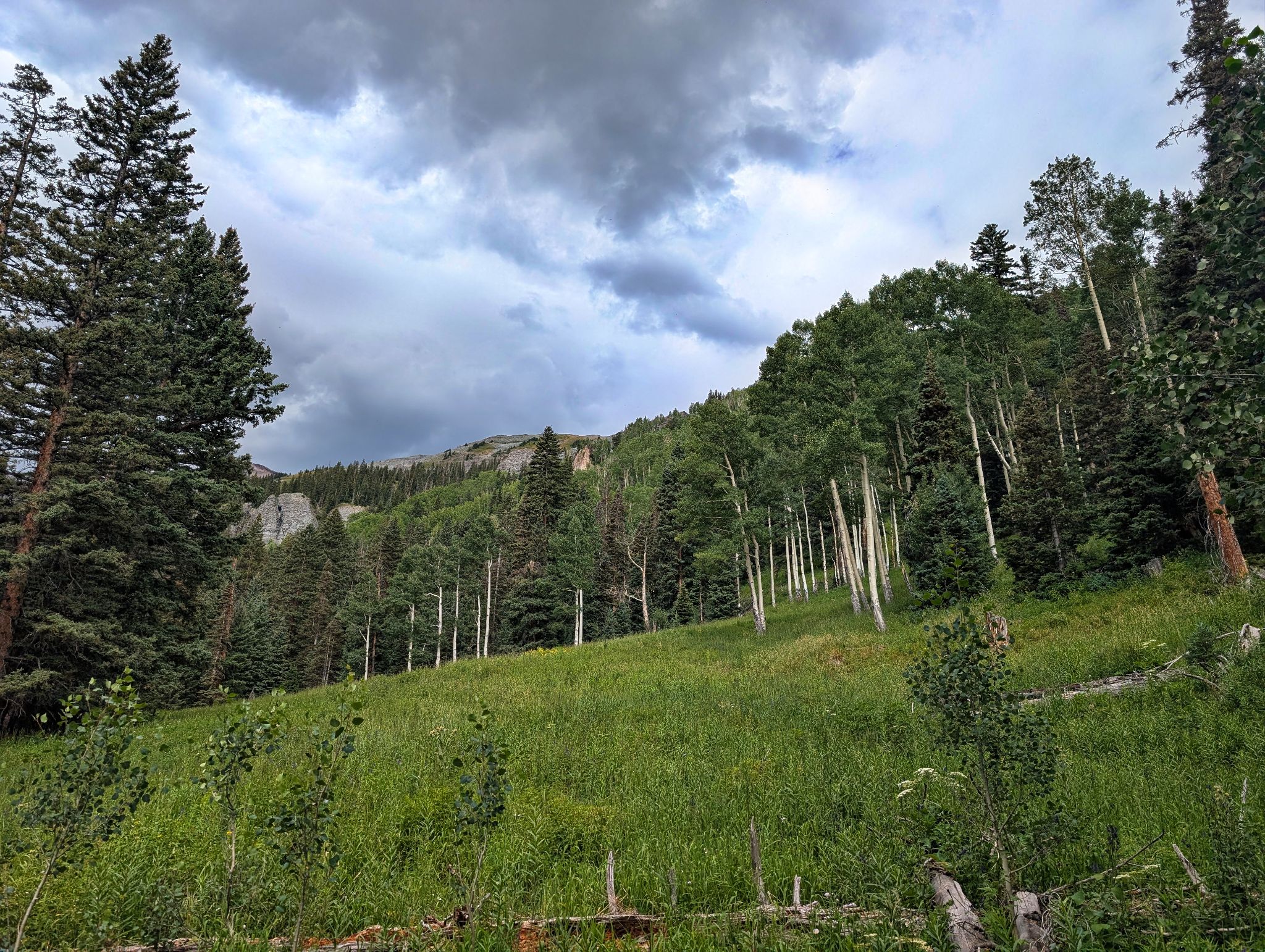 Angel knob 04