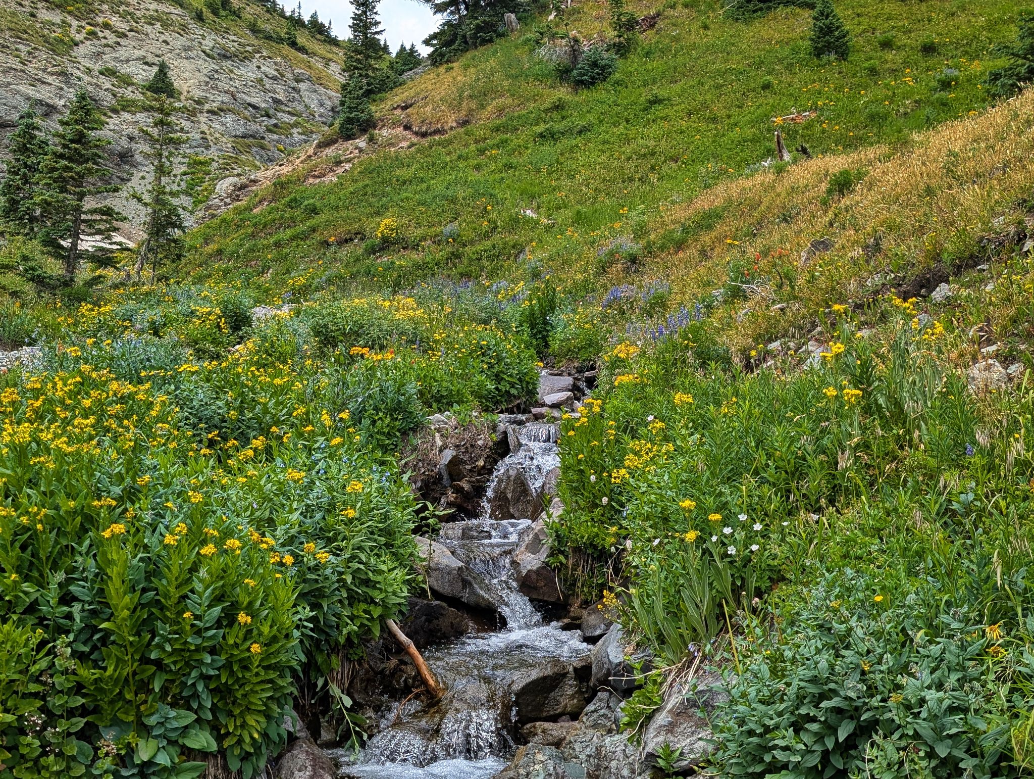 Angel knob 09