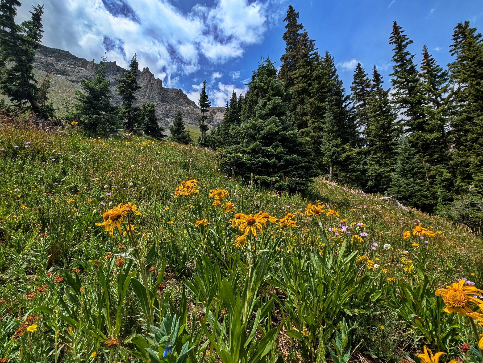 Angel knob 10