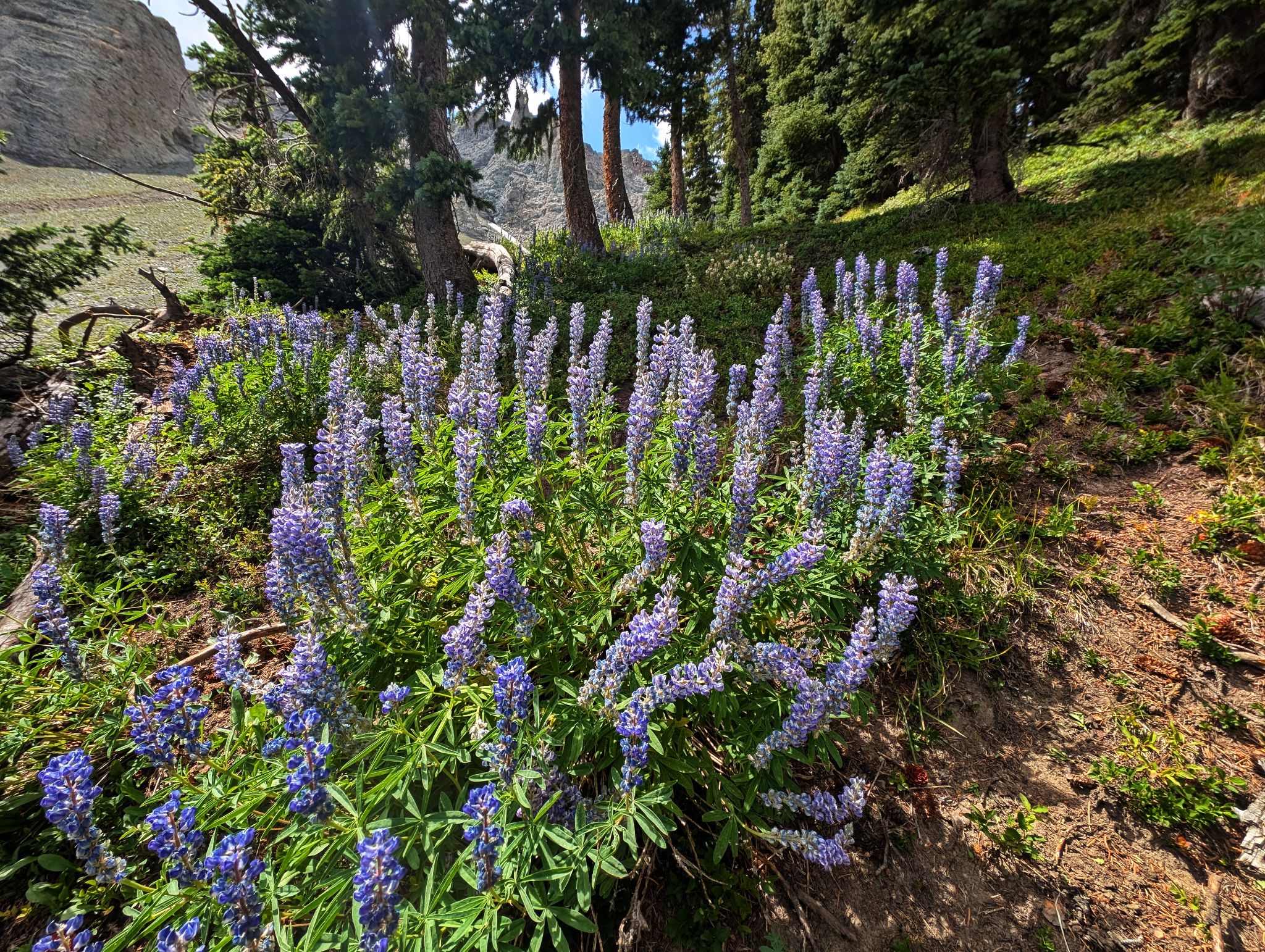 Angel knob 11
