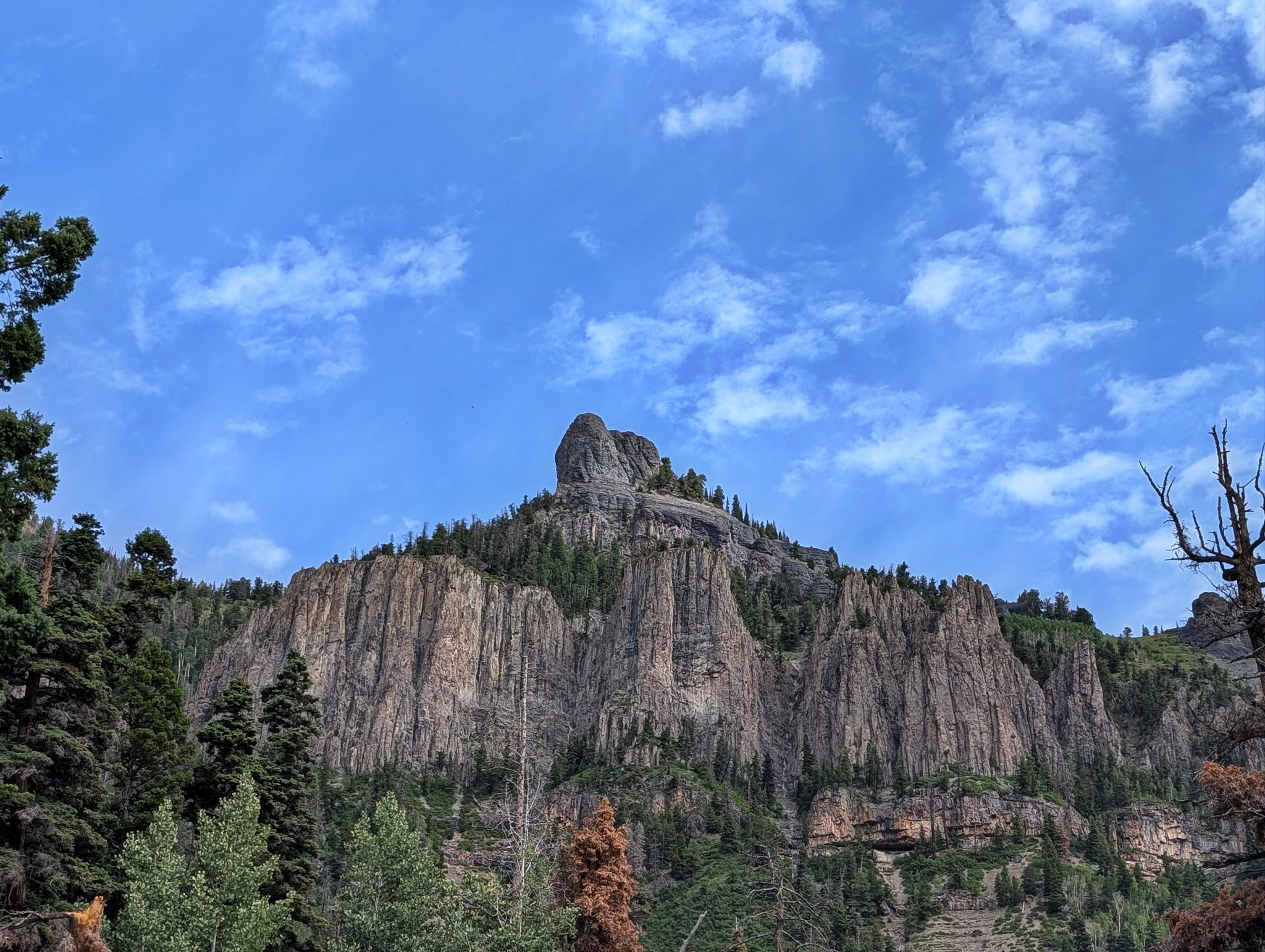Angel knob 31