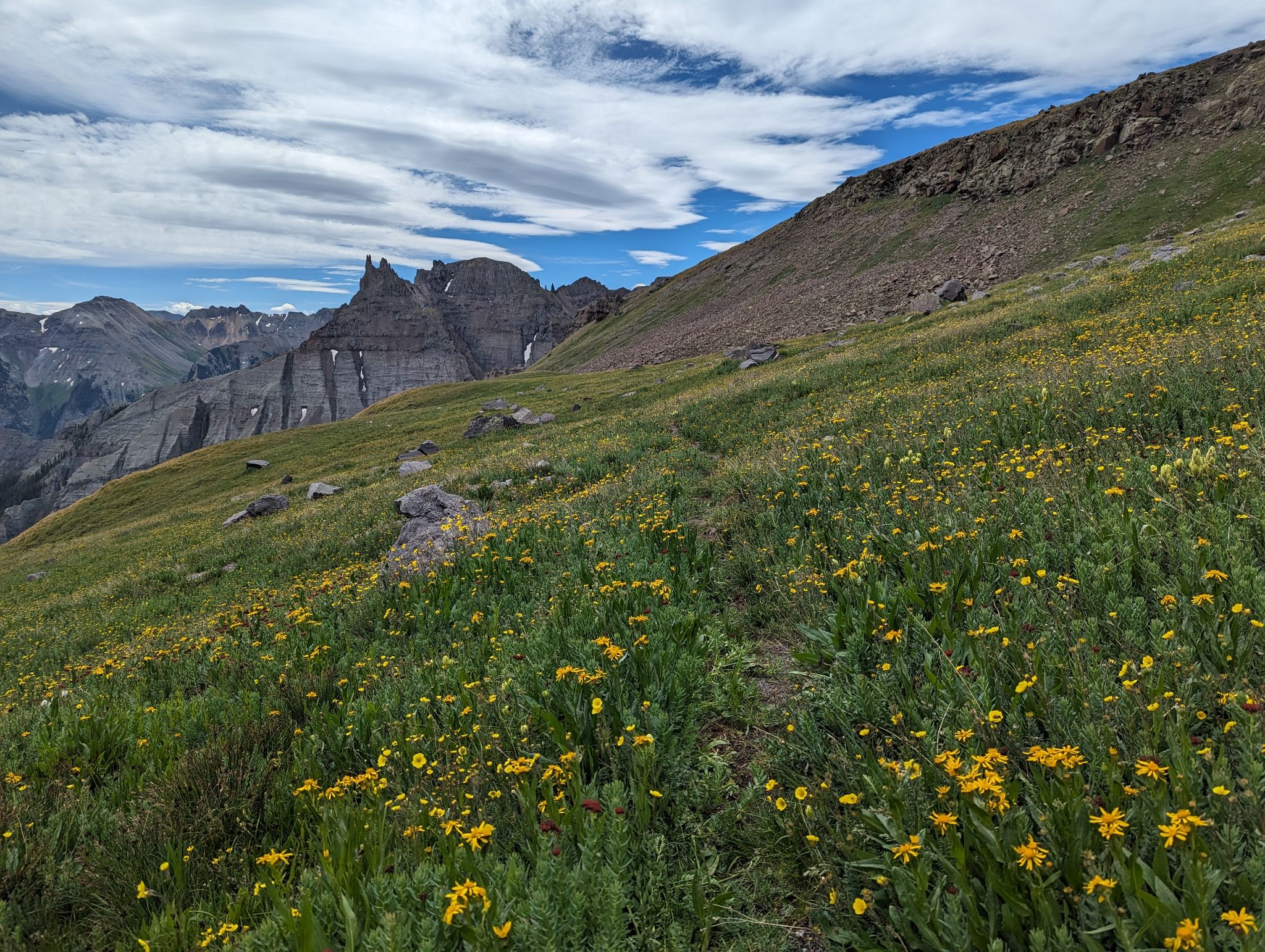 Corbett whitehouse ridgway 30