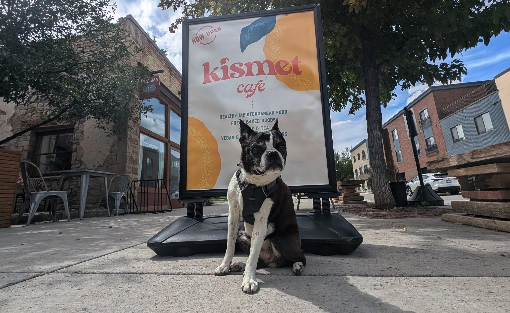 Kismet 38