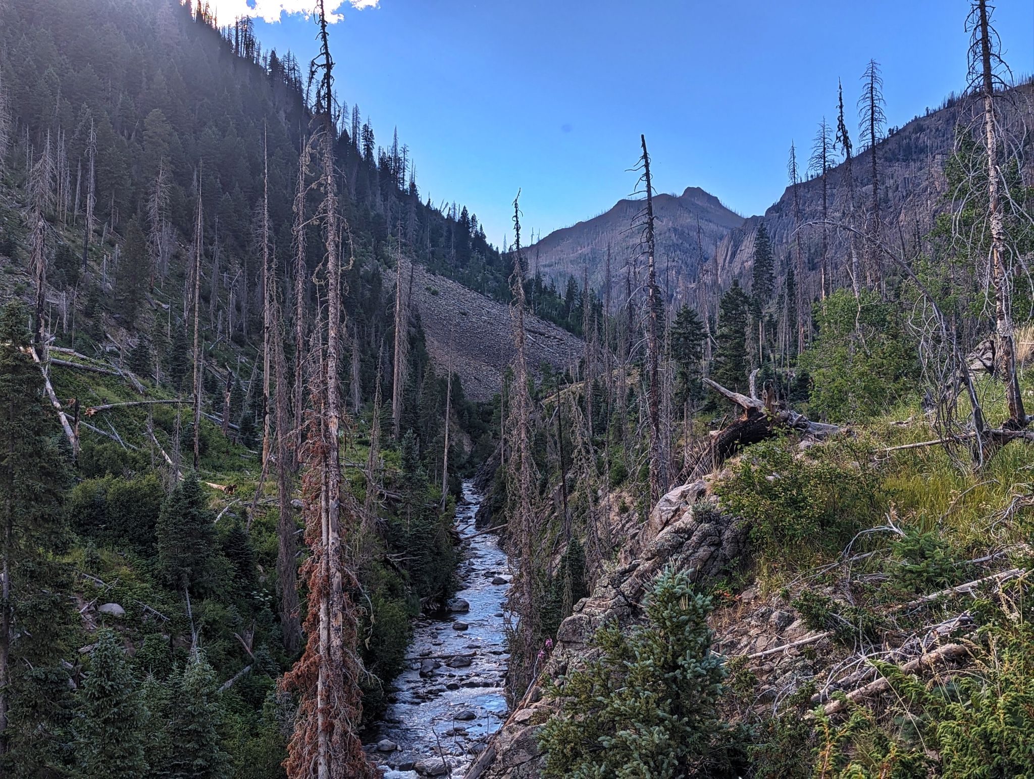 South river 04