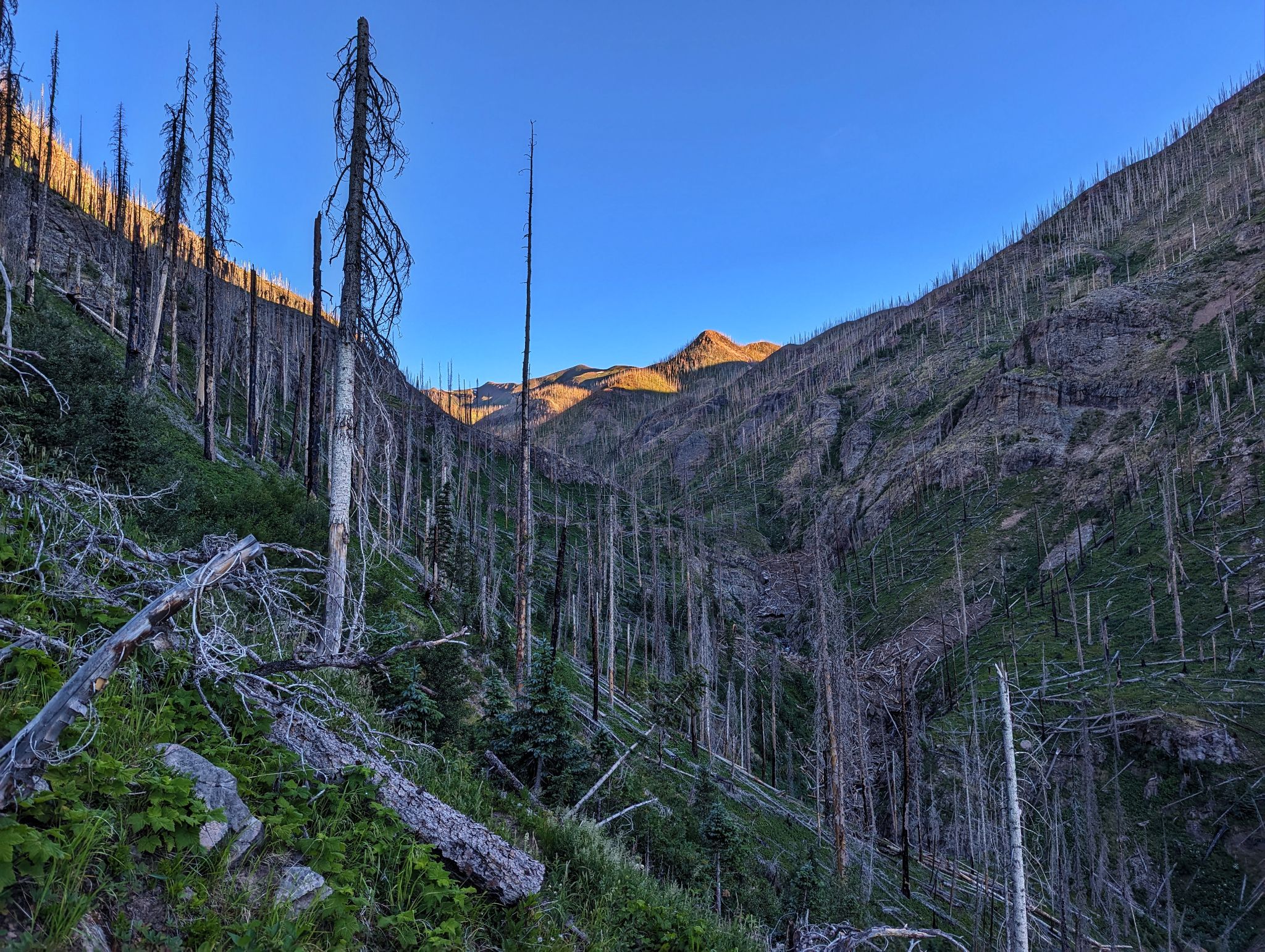 South river 10
