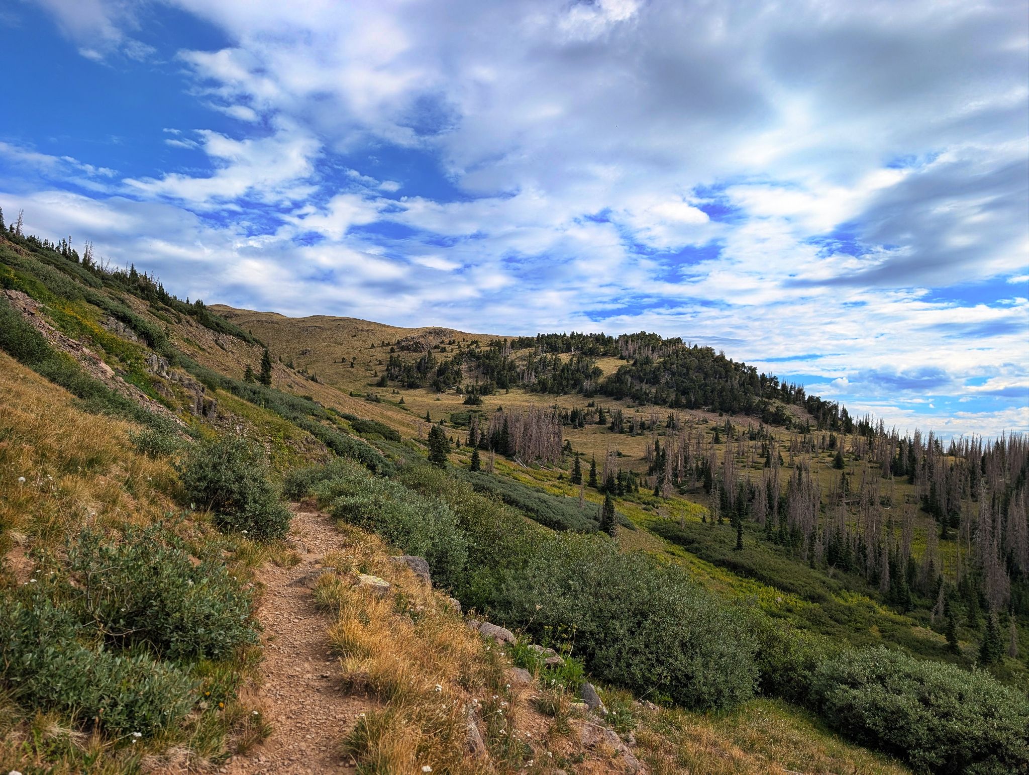 Conejos hike 22
