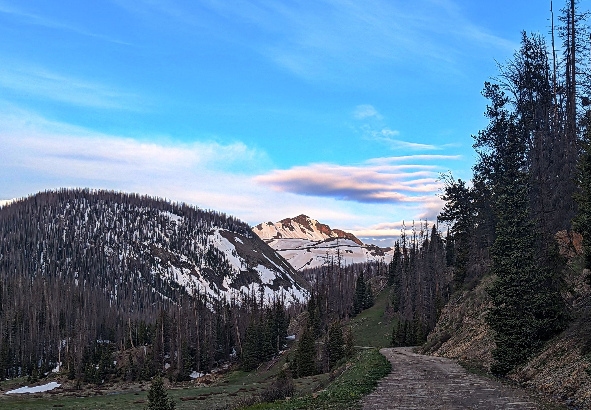 Unicorn 02