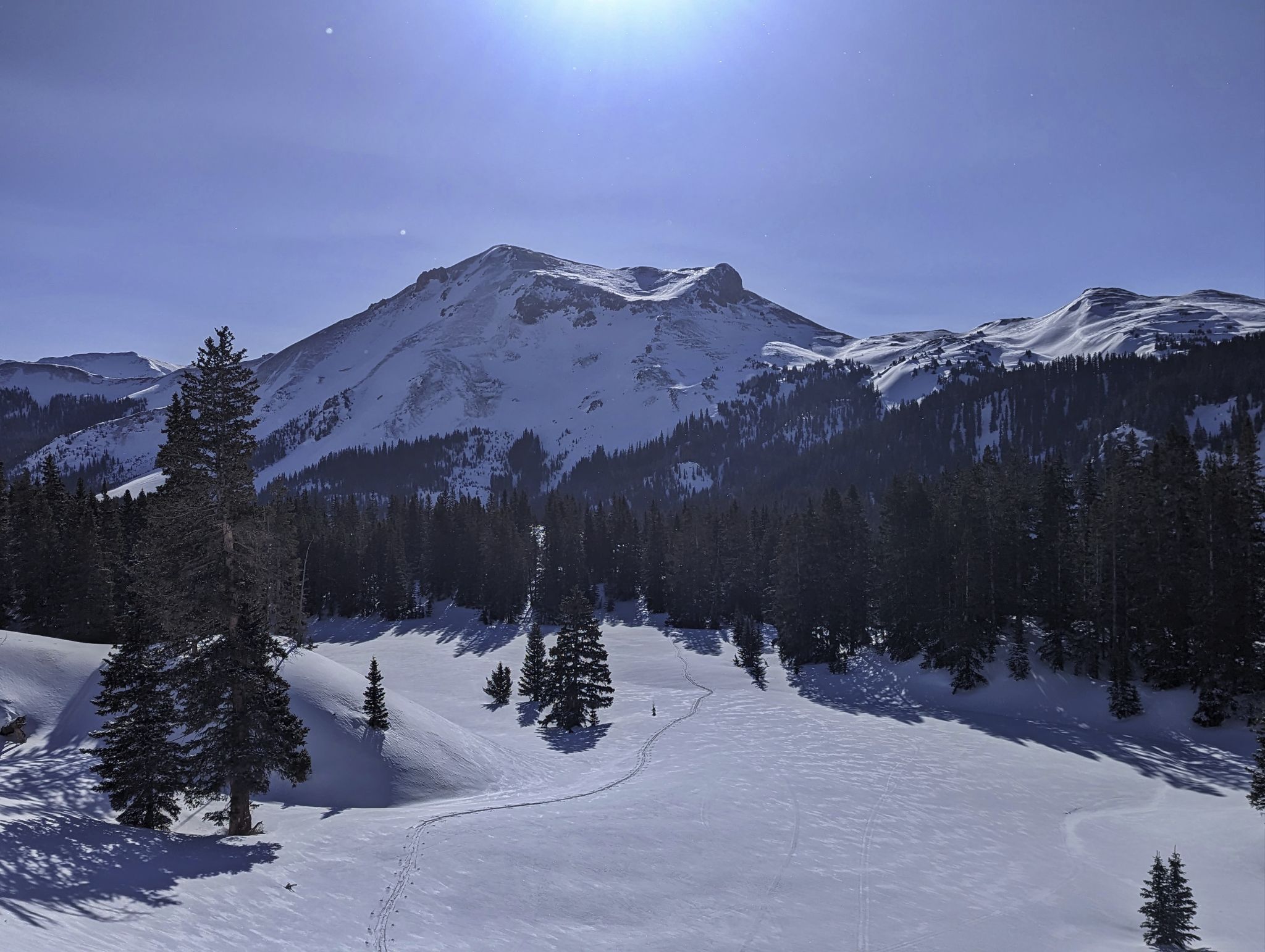 Telluride trico 03