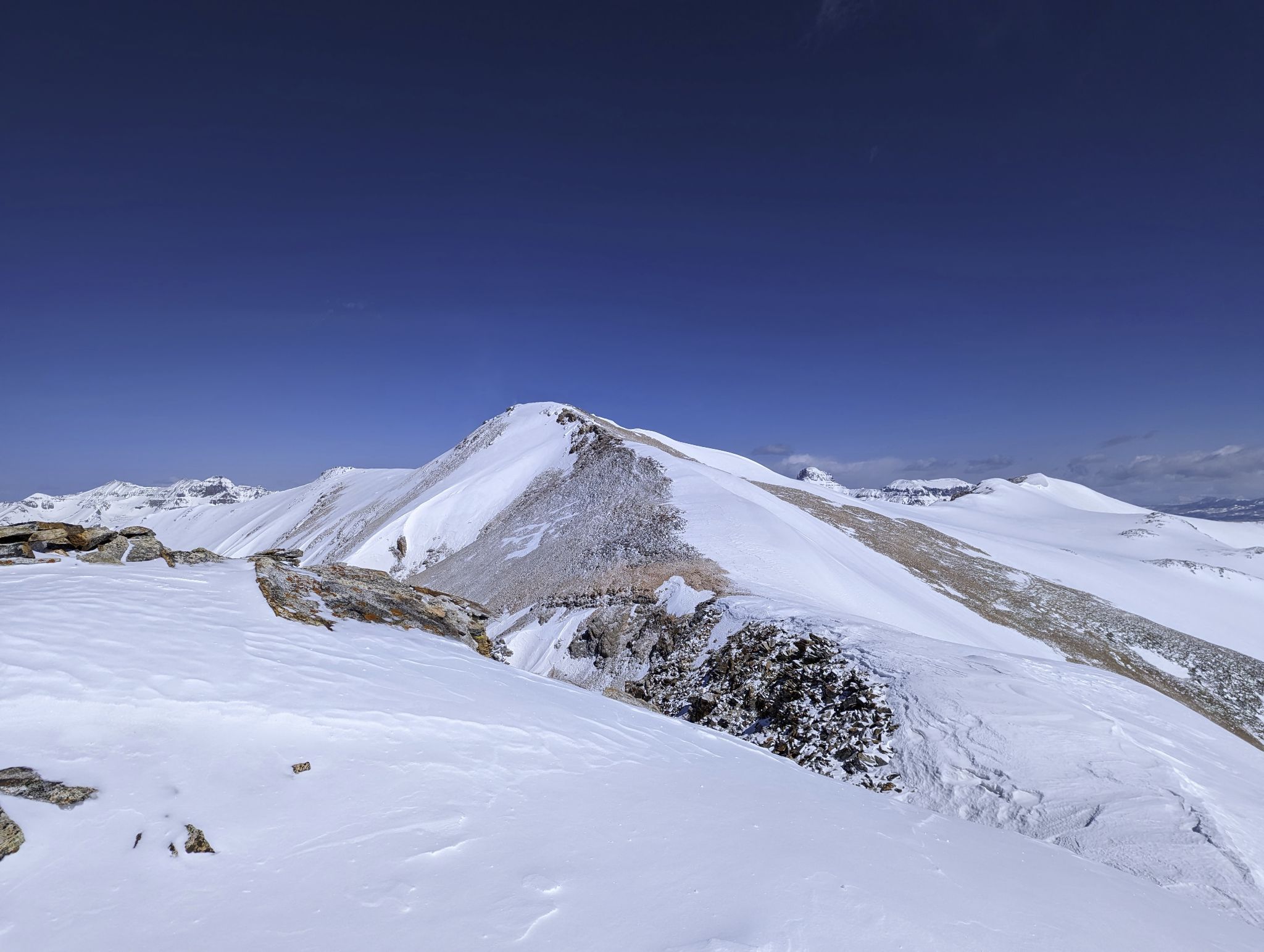 Telluride trico 11