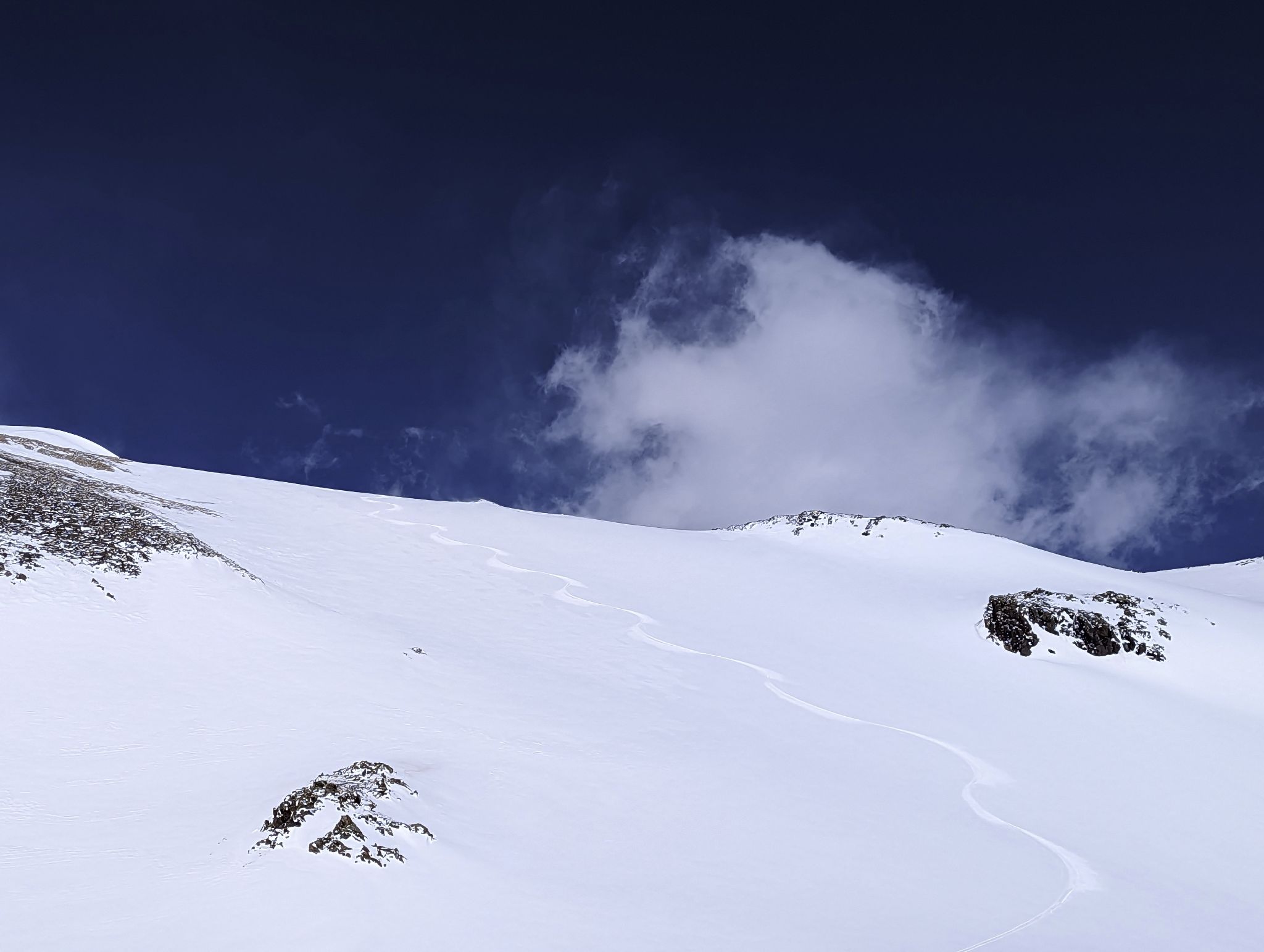 Telluride trico 16
