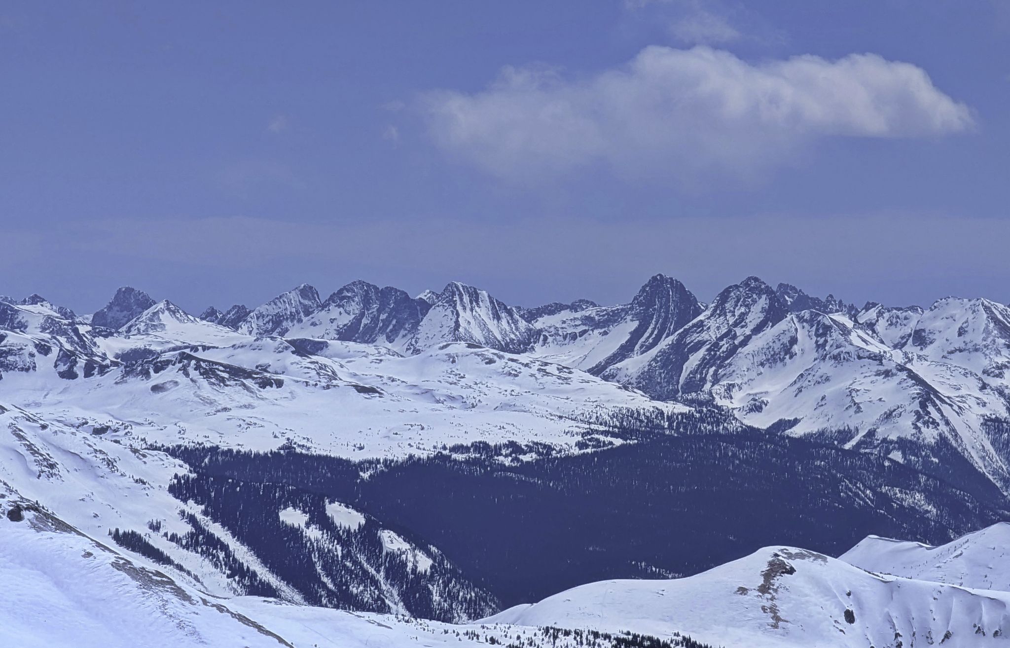 Telluride trico 22