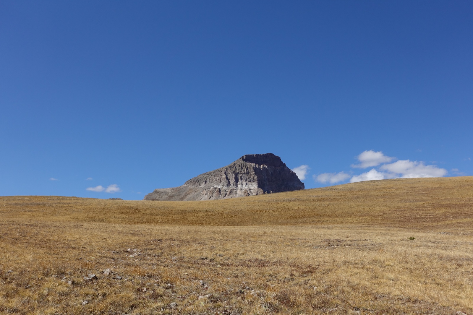 Uncompahgre quad 16