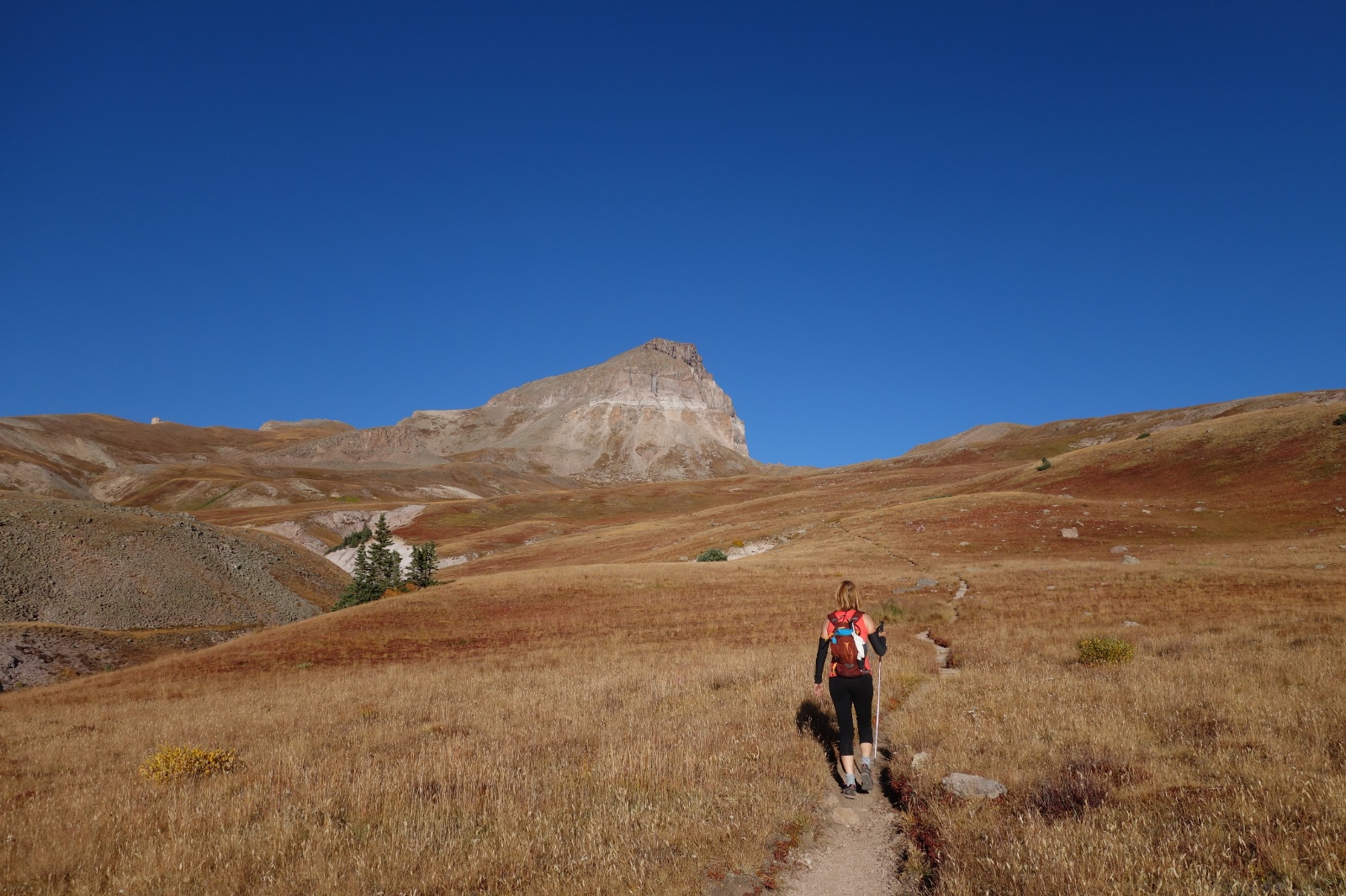 Uncompahgre quad 17