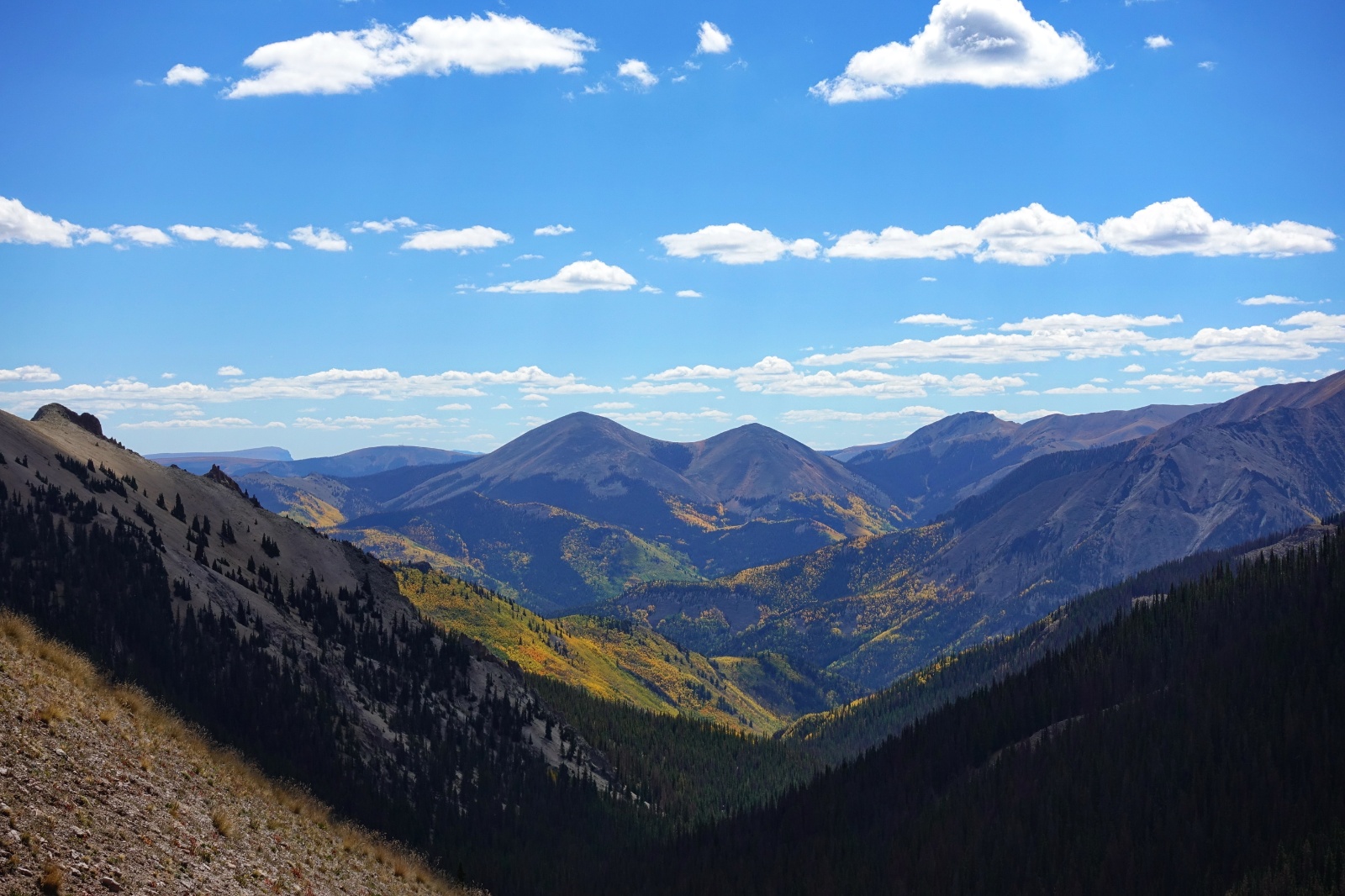 Uncompahgre quad 33