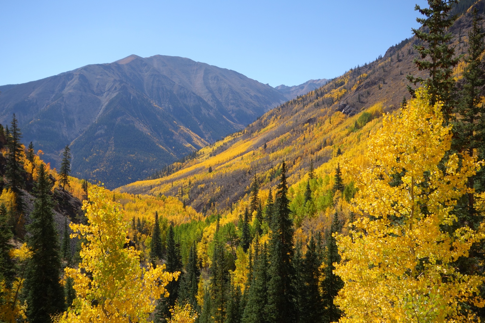 Uncompahgre quad 34