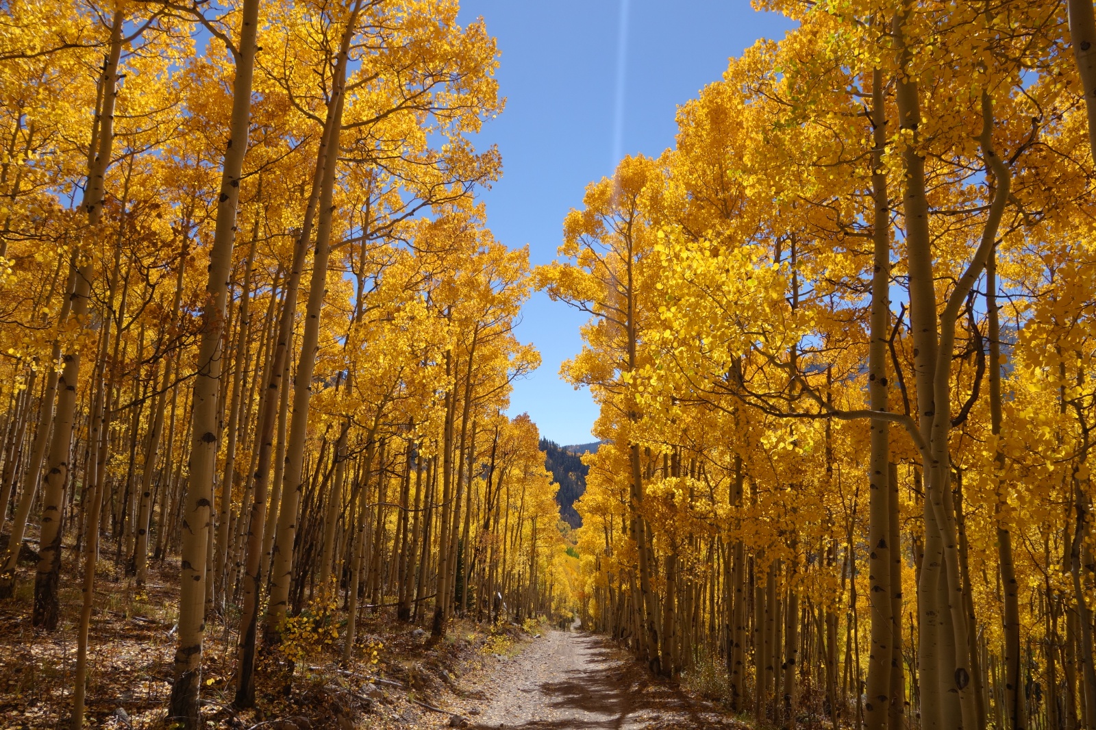 Uncompahgre quad 35