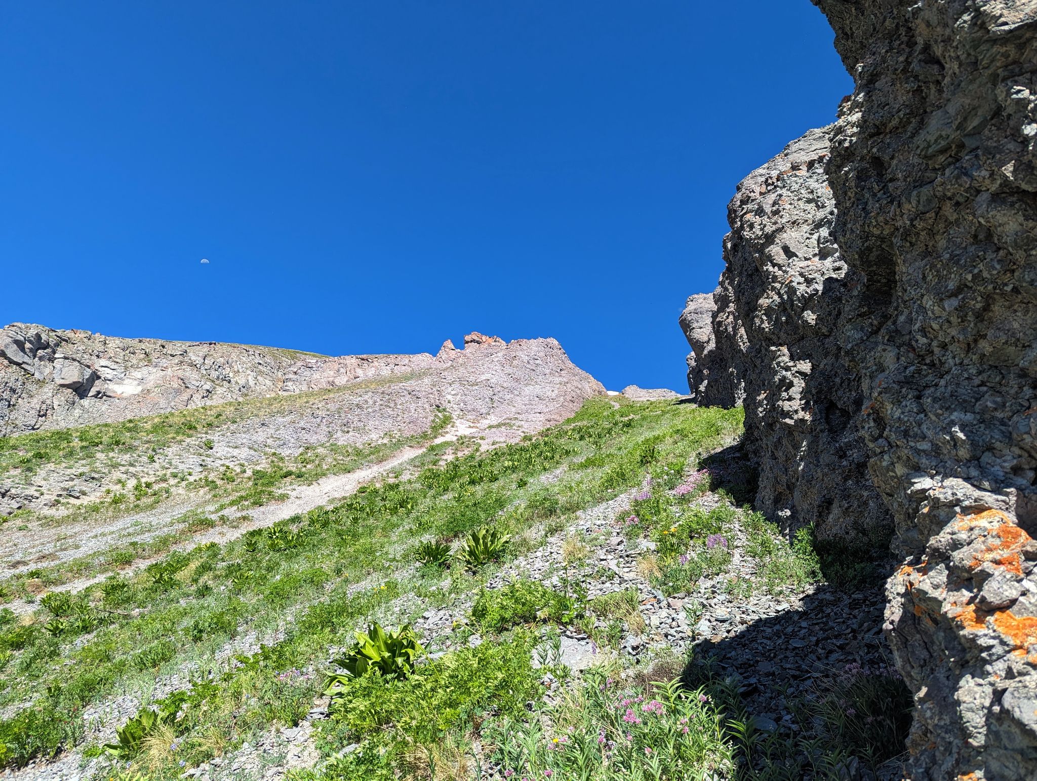 Wasatch 11