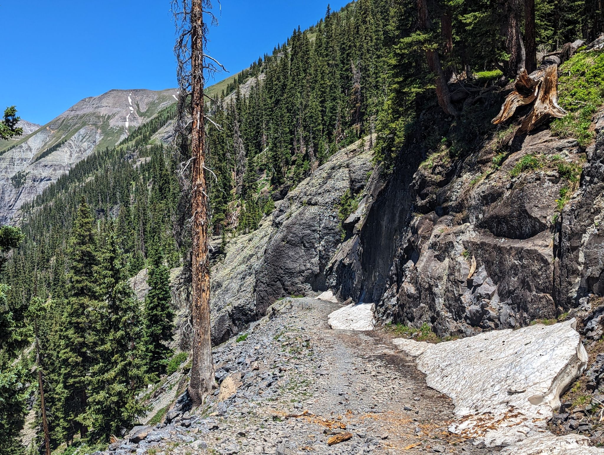 Wasatch 31