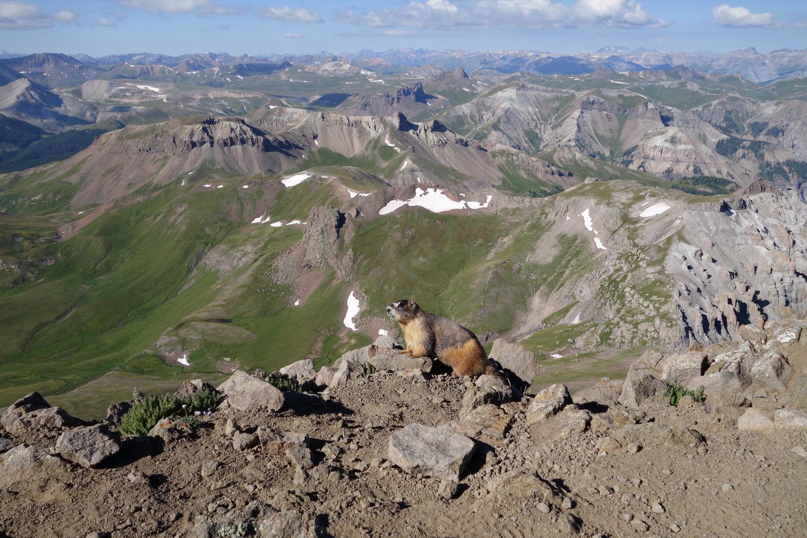 Wetterhorn 30