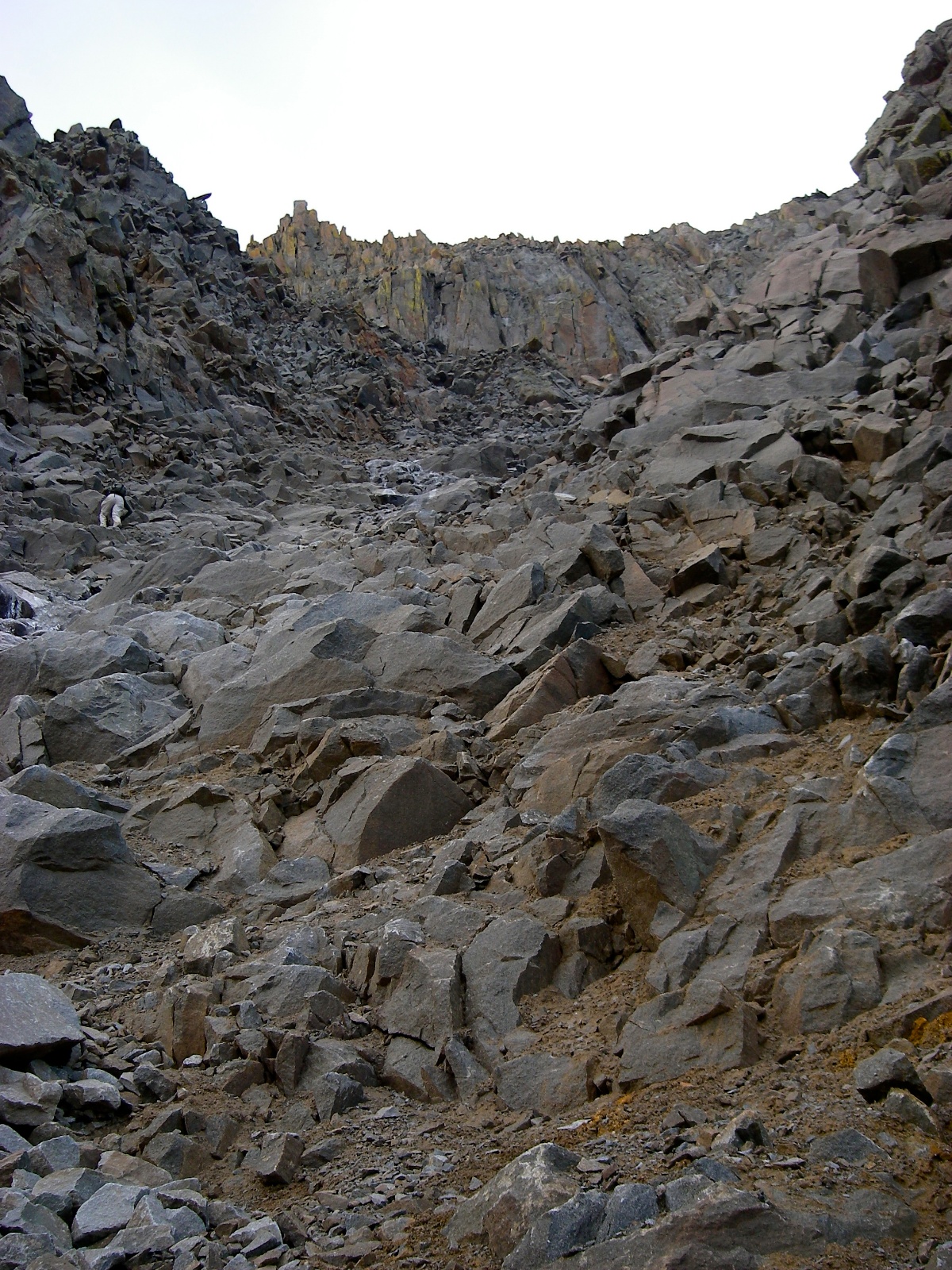Wilson group 10