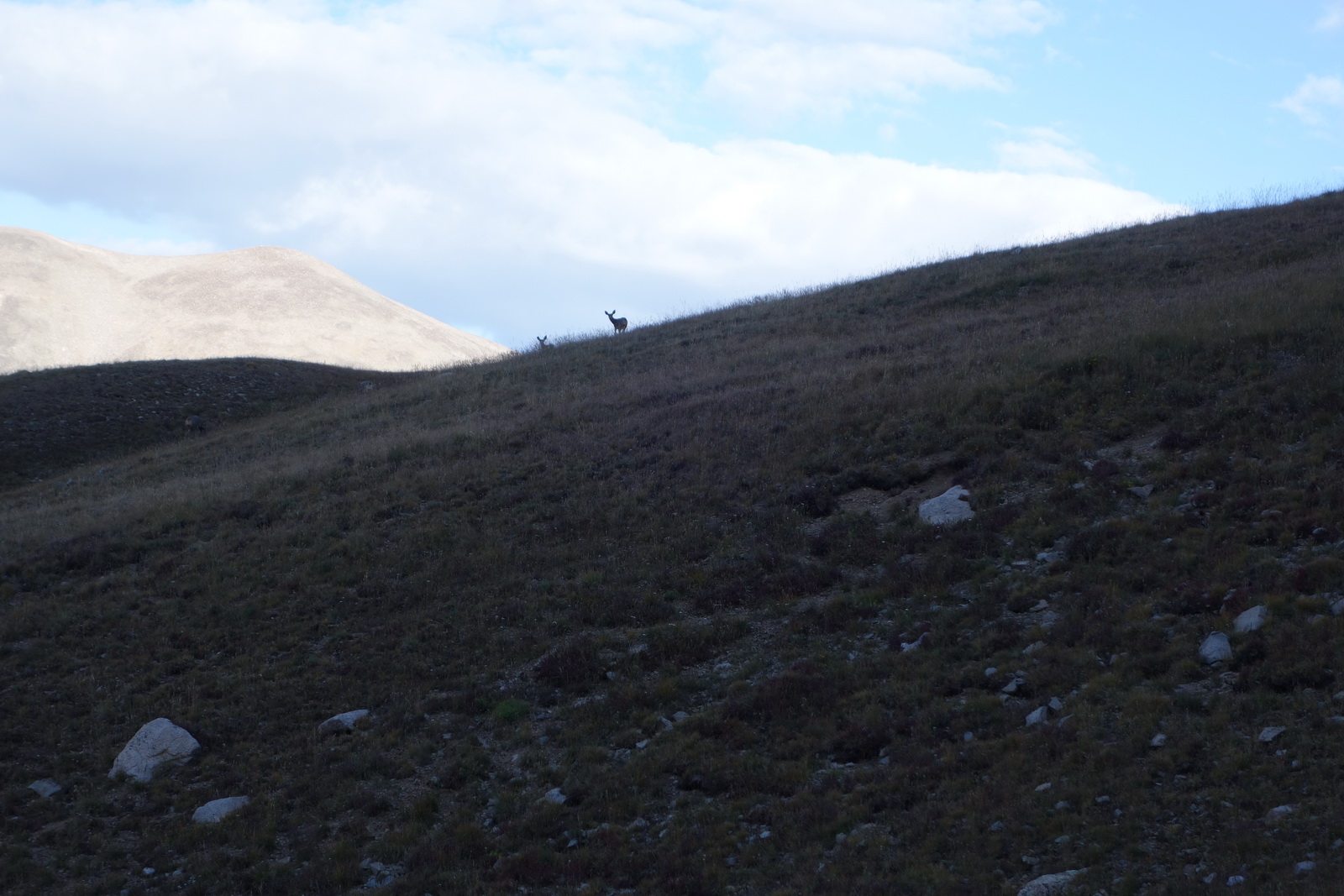 Antero 05