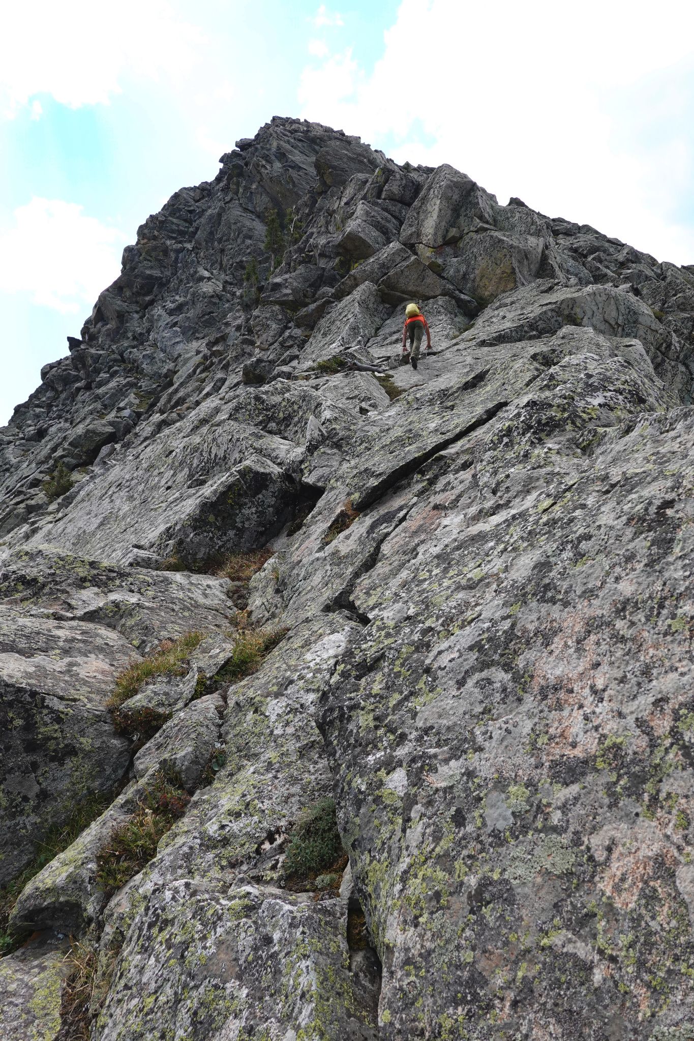 Fools eagle pika 10
